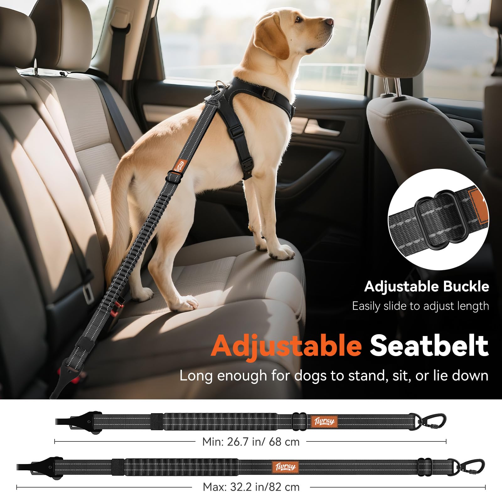 2 pezzi Cinture di Sicurezza per Cani Auto, Guinzaglio Elastico Regolabile con Moschettone e Gancio, Pettorina da Auto Riflettente con Chiusura Rotante a 360° per Animali, Nero
