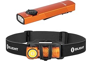 Arkfeld UV 365nm Professional Black Light UV Flashlight Combo Kit 1100 Lumens...