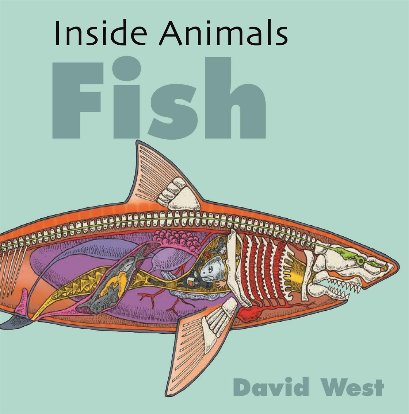 Hachette Children's Group Inside Animals: Fish