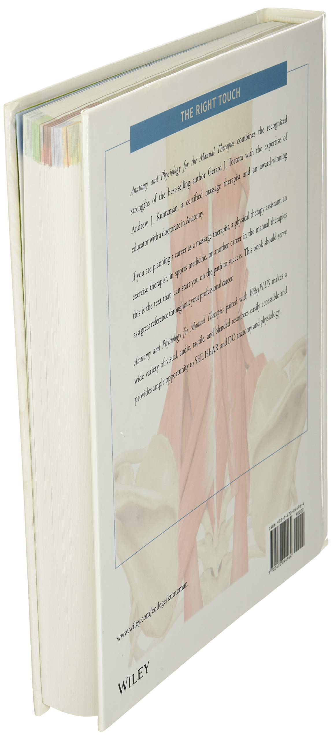 Anatomy and Physiology for the Manual Therapies - Image 4