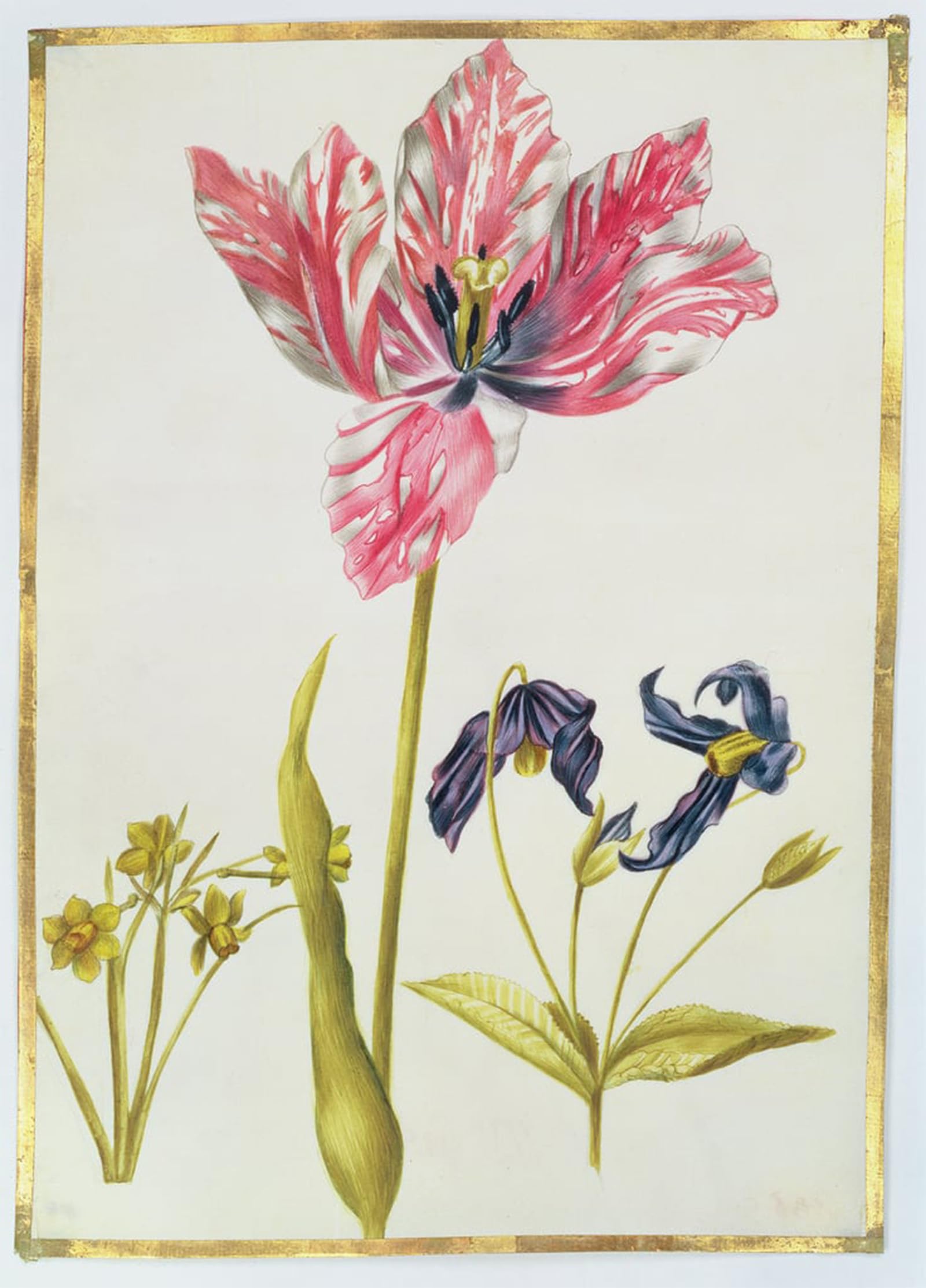 SERENDIPITP Abstract Painting Mural Print Picture Wall Decor Painting Tulip and Daffodil by Nicolas Robert Vintage Wall Artwork for Home Decor 60x90cm