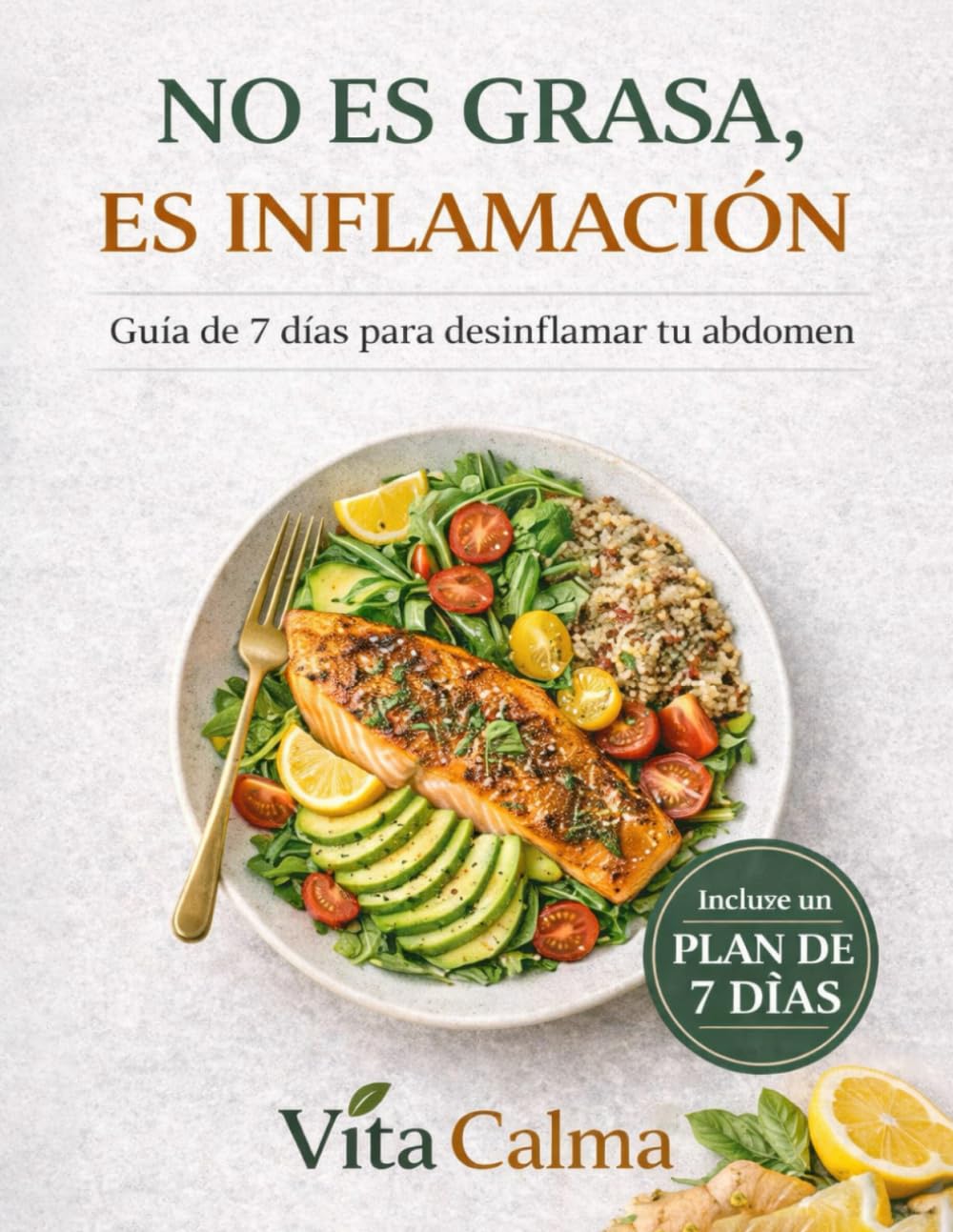 NO ES GRASA, ES INFLAMACIÓN: Guía de 7 días para desinflamar tu abdomen