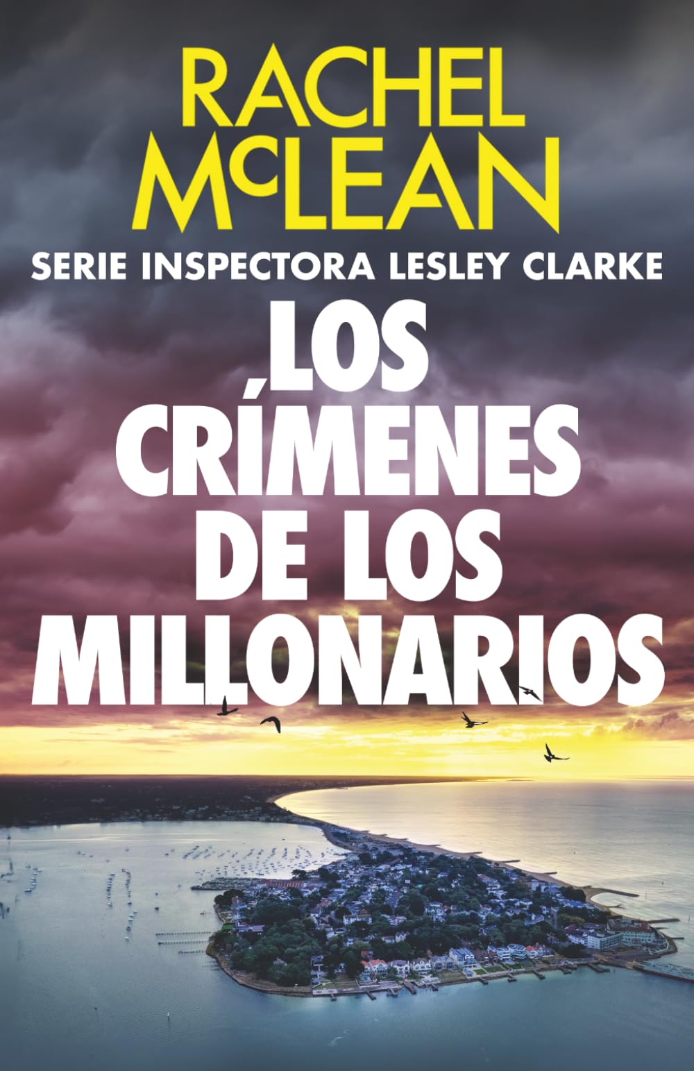 Los crímenes de los millonarios (Inspectora Lesley Clarke)