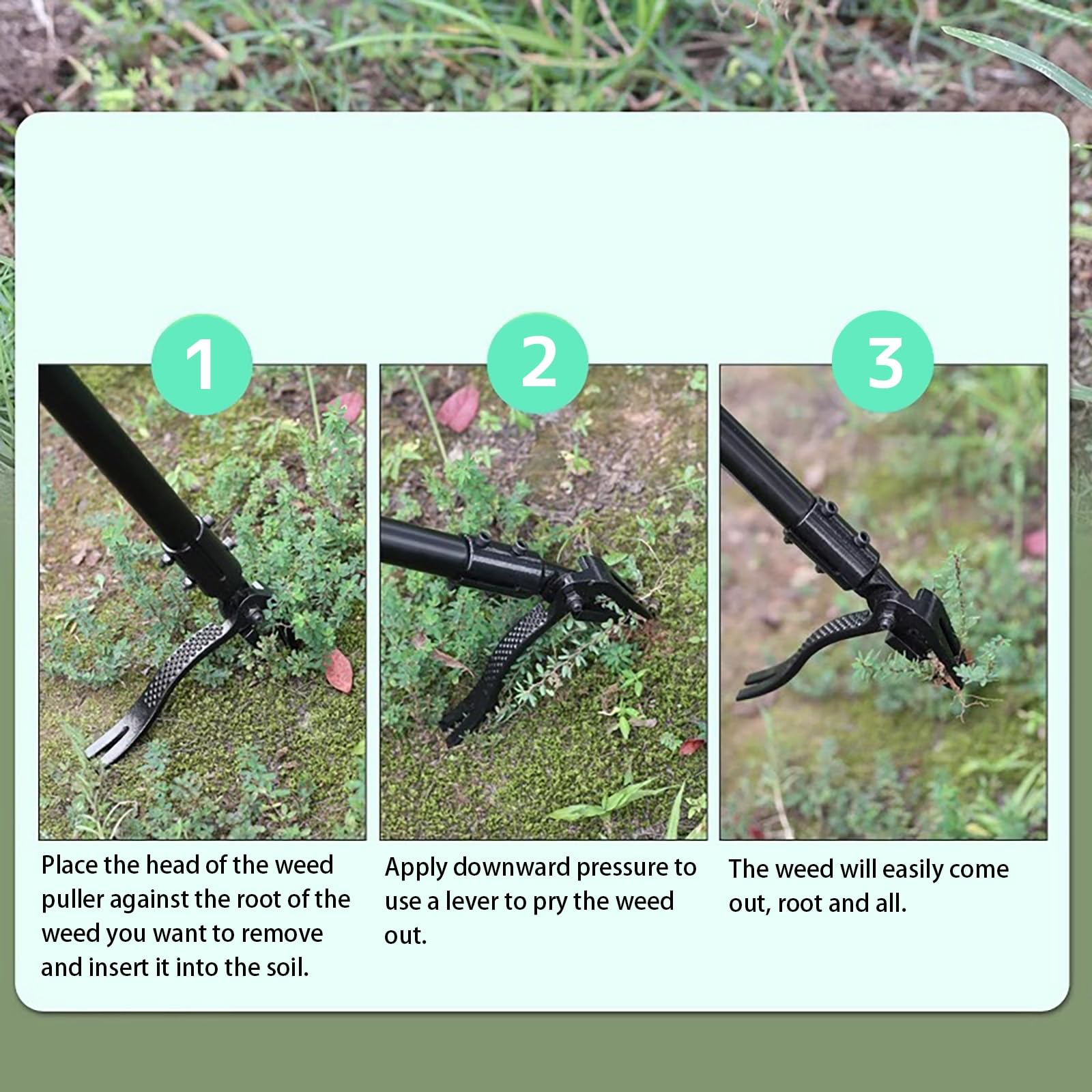 Stand-up Manueller Unkrautstecher mit langem Griff für müheloses Unkrautjäten im Garten, Edelstahl Unkrautentferner ideal für Gemüsegärten und Rasen