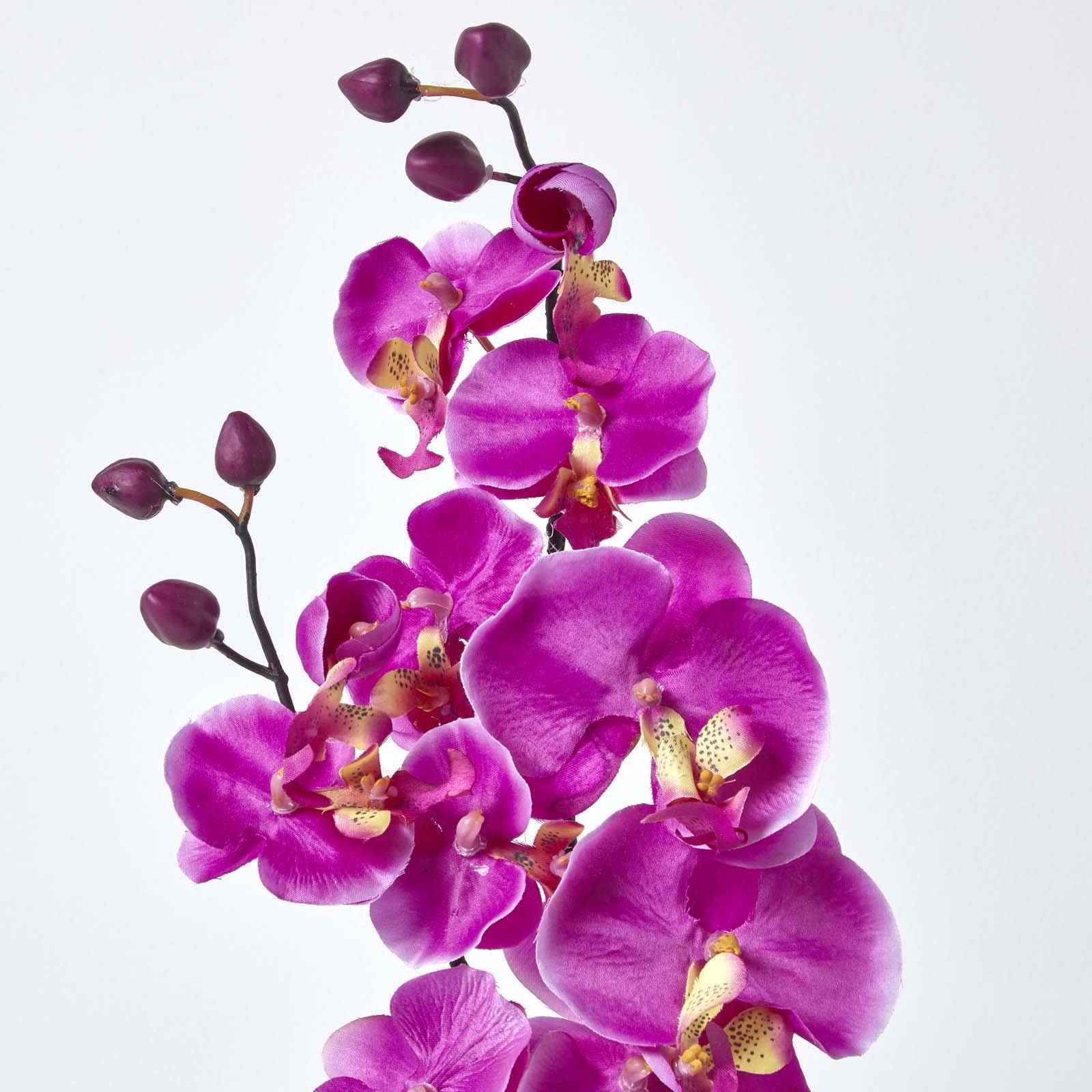 Homescapes Set Di 2 Orchidee Artificiali In Vaso Ceramica Nera, Fiori Finti Con Protezione UV, Per Decorazione Interni - 6