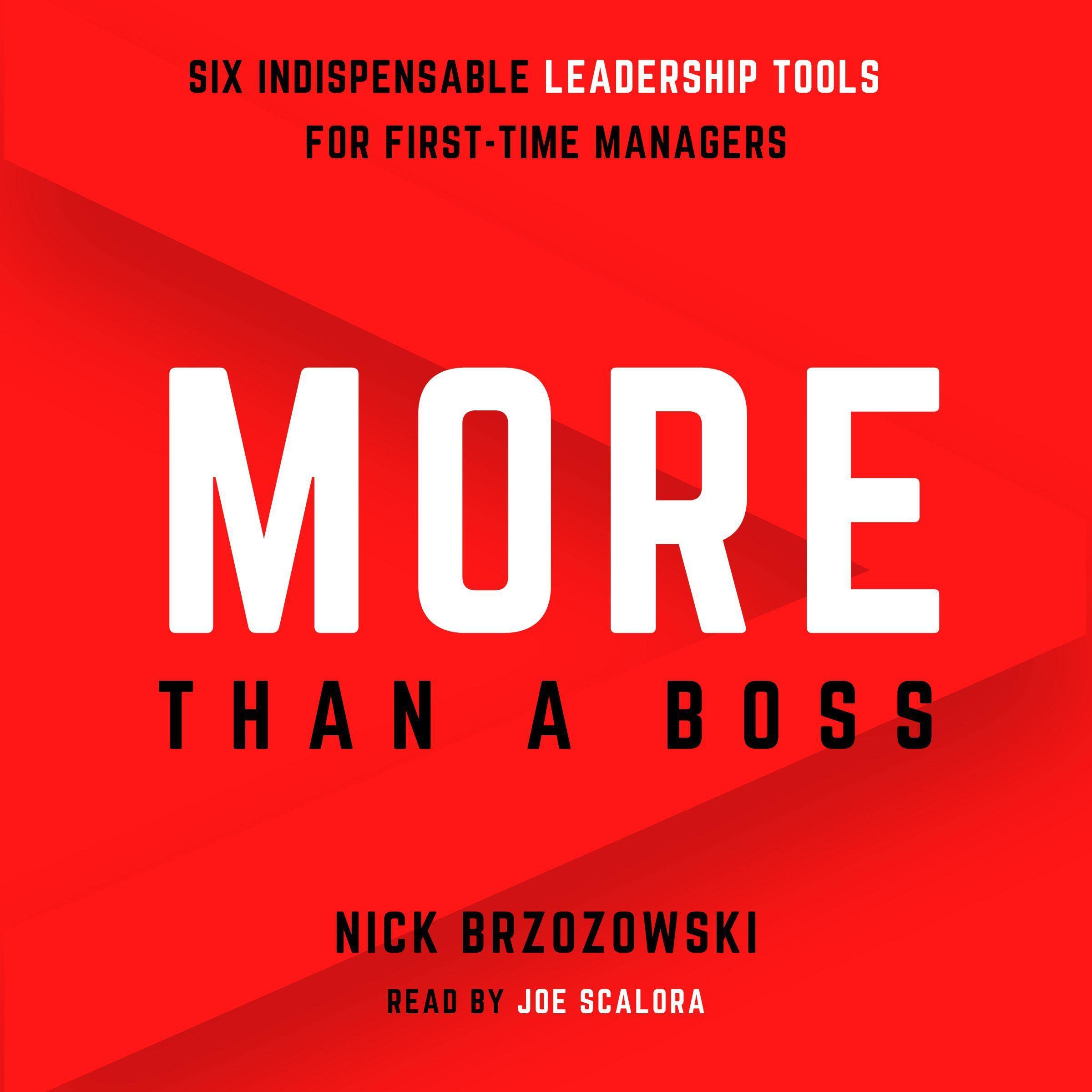 Cover art for More Than a Boss