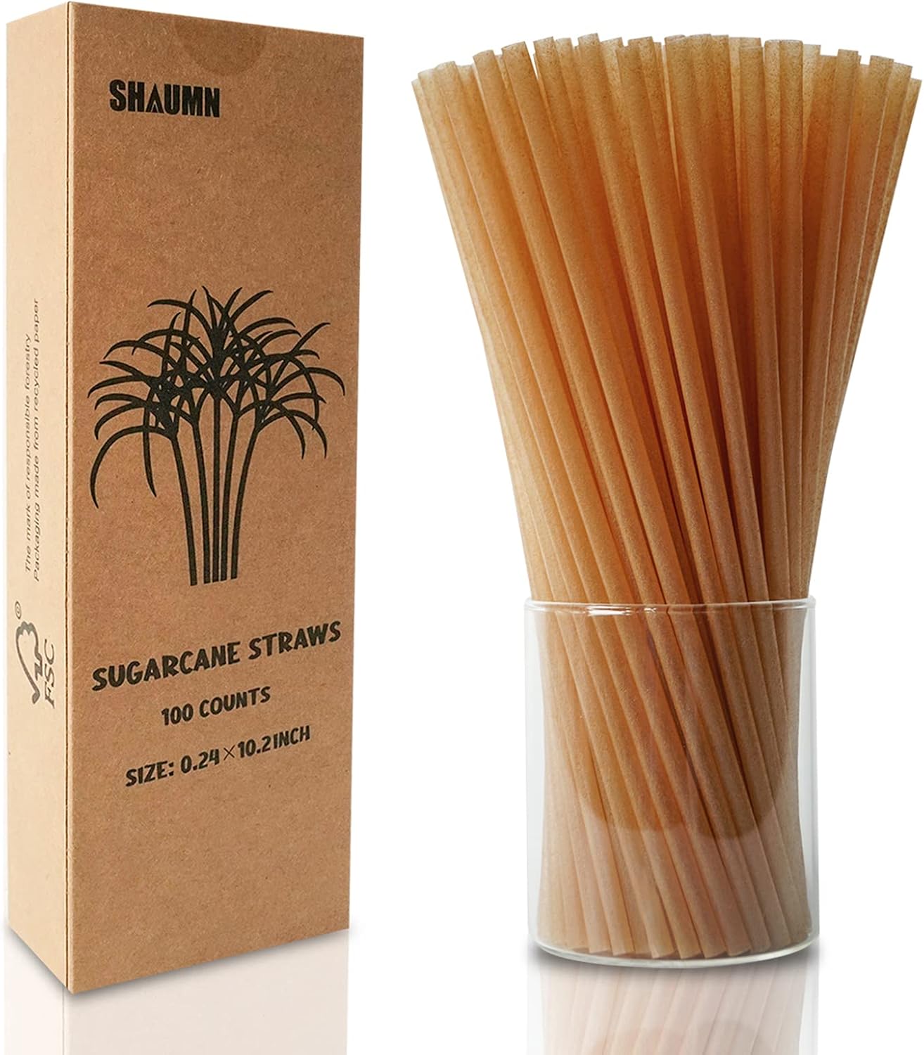 Biodegradable EcoFriendly Sugarcane Straws 10.2 Inch Long