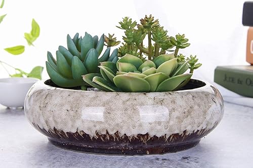 Miniatura 3 de VanEnjoy 7.3 inch Round Large Shallow Succulent Ceramic Glazed Planter Pots with Drainage Hole, Bonsai Pots Garden Decorative Cactus Stand Flower