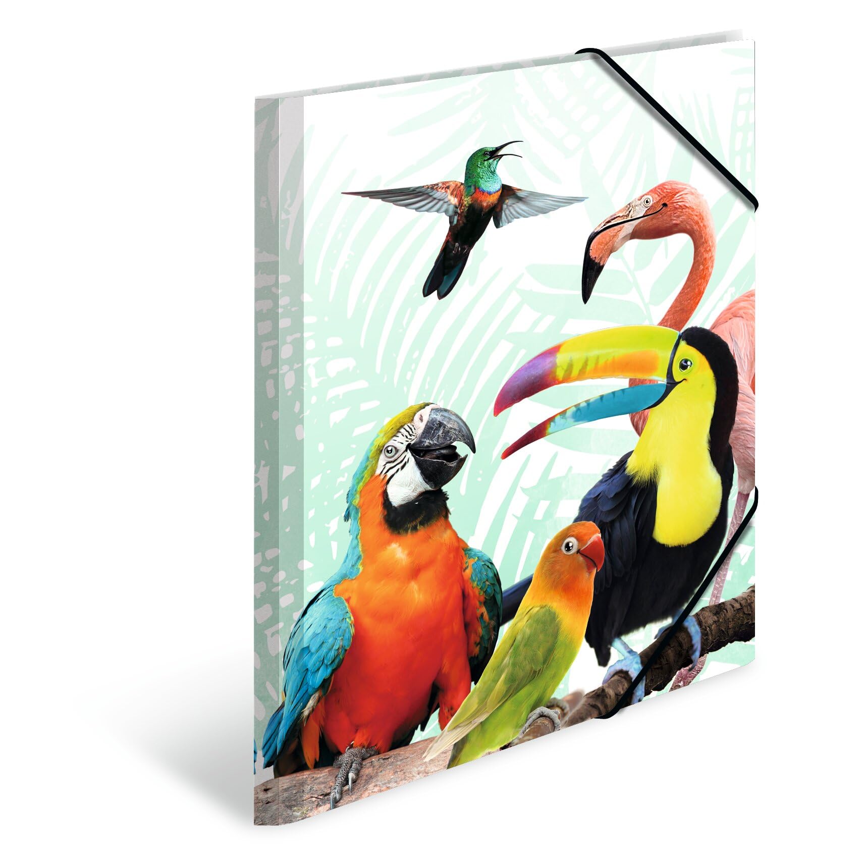 HERMA Collector's Folders A3 Parrot Set, 3 Pieces, Children's Plastic Corner Folder with Animal Motif, Elastic Band