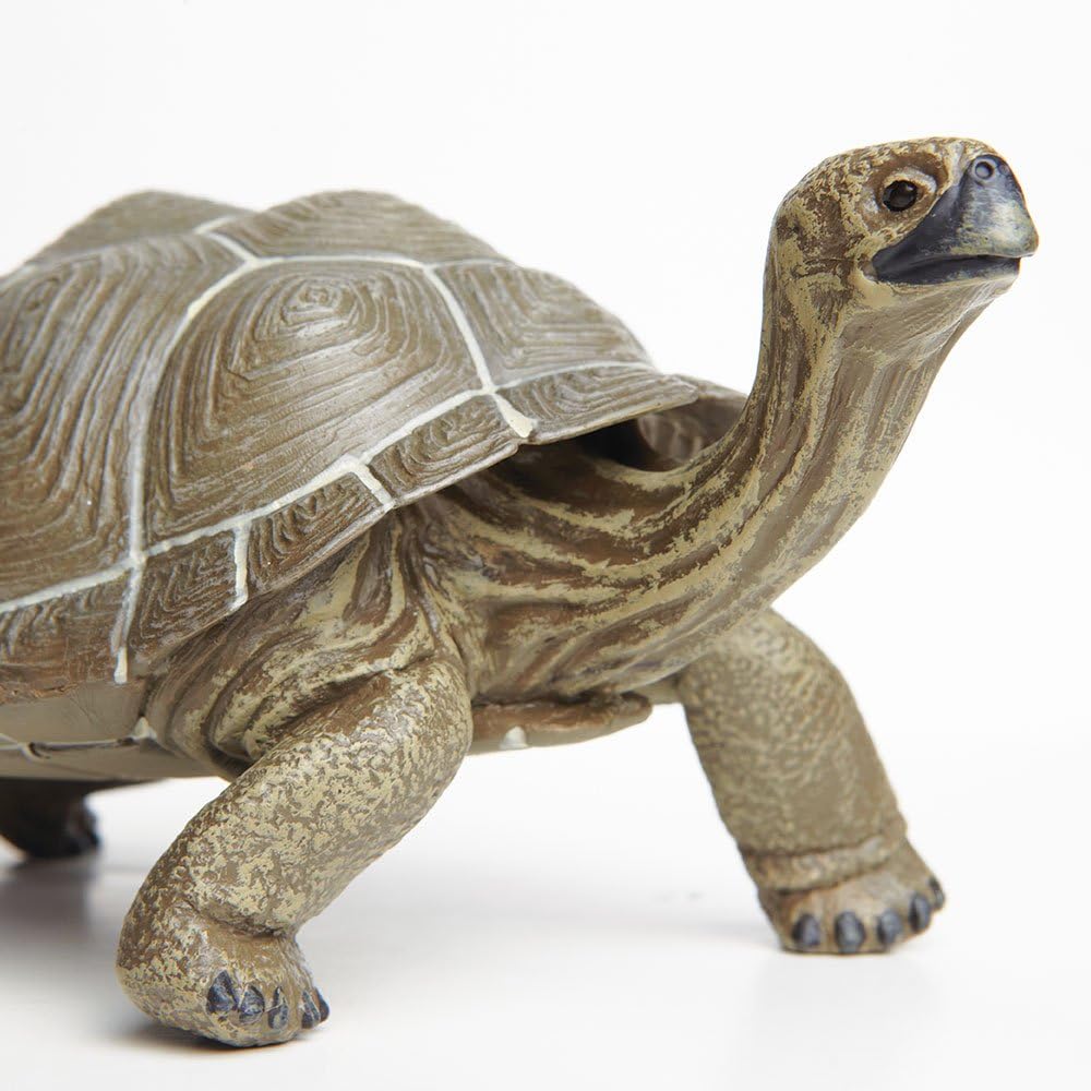 Safari Ltd. Tortoise Figurine - Detailed 8.5" Plastic Model Figure - Fun Educational Play Toy for Boys, Girls & Kids Ages 18 Months+