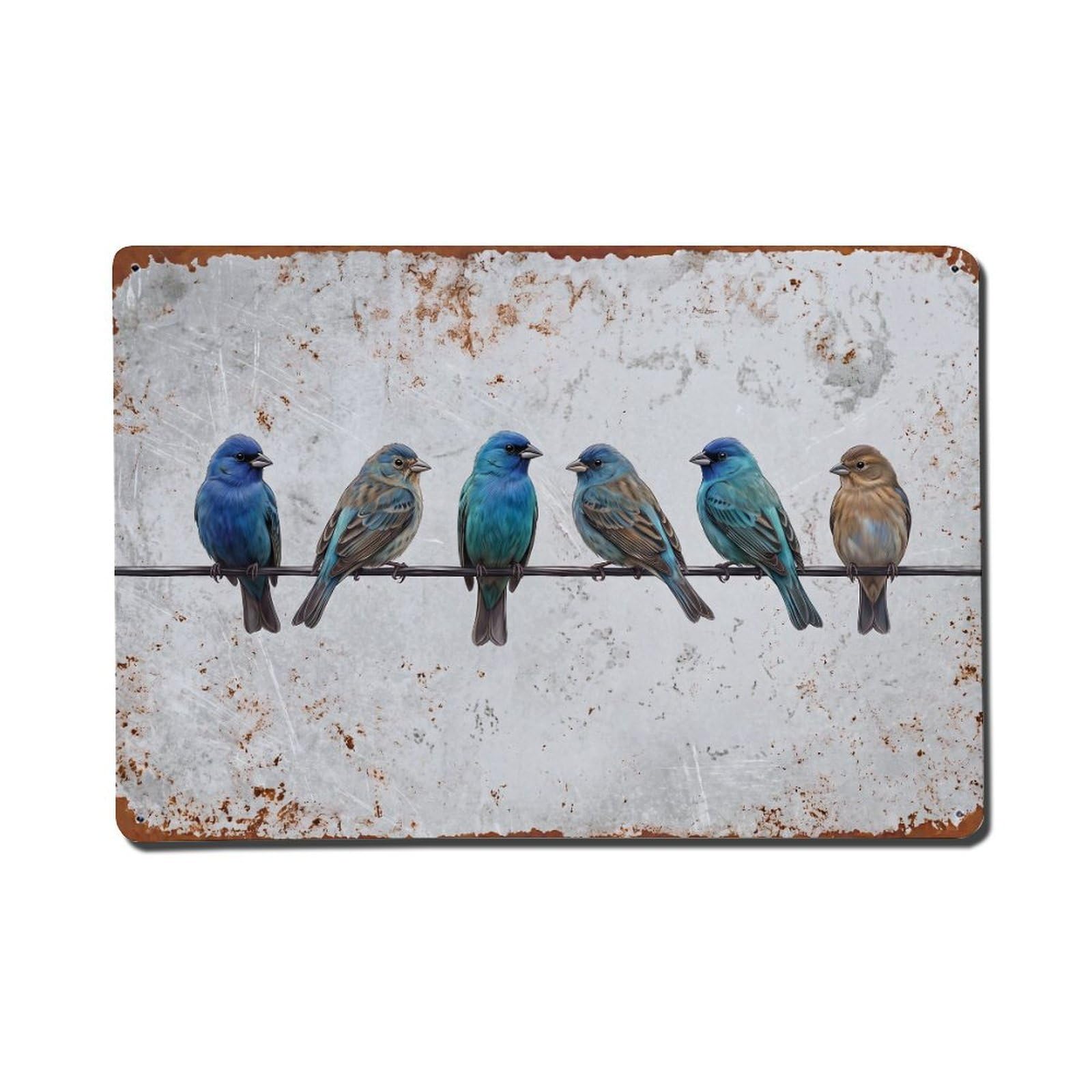 Vintage Retro Birds Indigo Bunting Metal Tin Sign