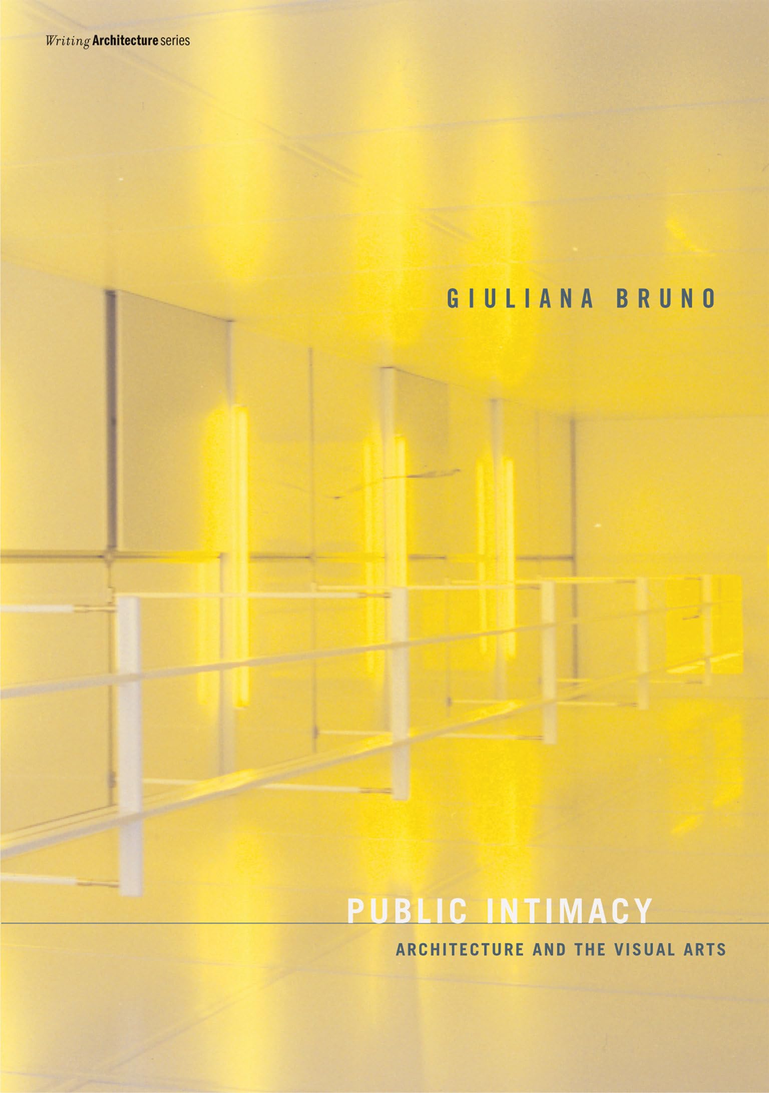 Public Intimacy: Architecture and the Visual Arts (Writing Architecture)
