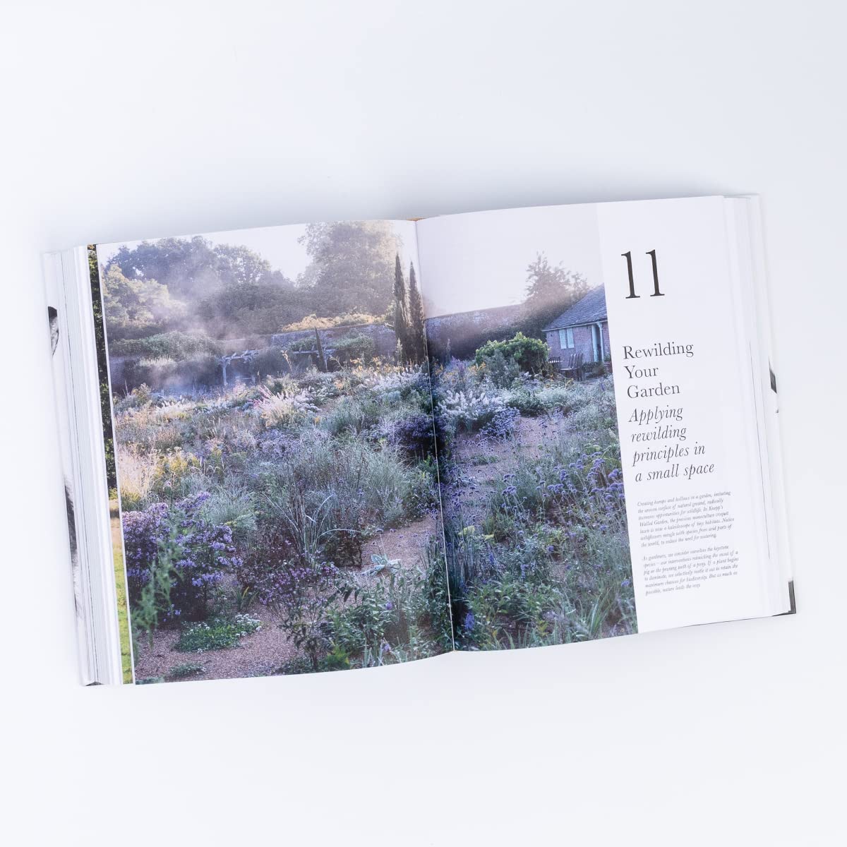 The Book of Wilding: A Practical Guide to Rewilding, Big and Small - Image 7