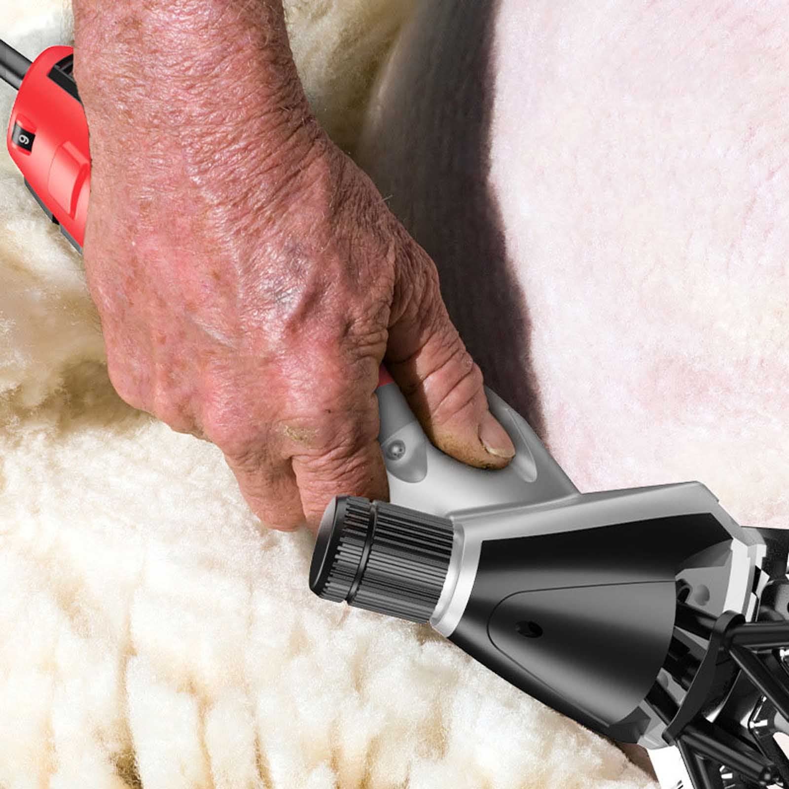 Tosatrice elettrica per pecore da 1000 W, kit per toelettatura bestiame da fattoria a 2600 giri/min. Coltello dritto a 6 velocità/9 denti, Tosatrice elettrica resistente con cavo di alimentazione da
