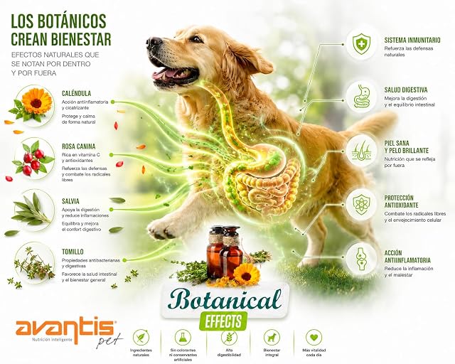 Foto 8 de 8 de Avantis Pet Performance Pollo y Arroz 15 kg - Pienso para Perros Activos y de Alto Rendimiento