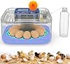 Incubadoras para eclosionar huevos, incubadora digital para 12-24 huevos con control inteligente de temperatura y humedad, volteador automático de huevos, ovoscopio, incubadora avícola para huevos de pollo, patos, gansos y codornices 1
