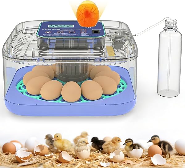Incubadoras para eclosionar huevos, incubadora digital para 12-24 huevos con control inteligente de temperatura y humedad, volteador automático de huevos, ovoscopio, incubadora avícola para huevos de pollo, patos, gansos y codornices