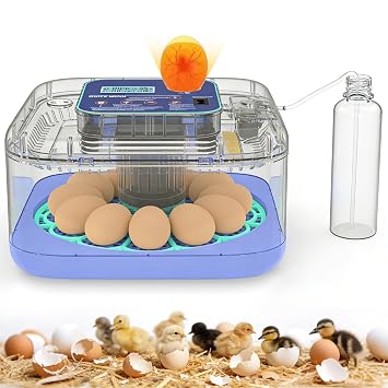 Incubators for Hatching Eggs, 12-24 Egg Digital Incubator with Smart Temperature & Humidity Control, Auto Egg Turner, Egg Candler, Poultry Hatcher for Chicken Eggs, Ducks, Goose, Quail Eggs
