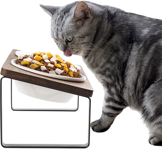 Raised Cat Food Bowl Elevated Kitty Dish 2 Ceramic Bowls Dia 14cm with Bamboo Stand 15°Tilted Anti Vomiting Indoor Cats Double Dishes Feeding Station for Kitten Puppy Easy to Assemble & Clean