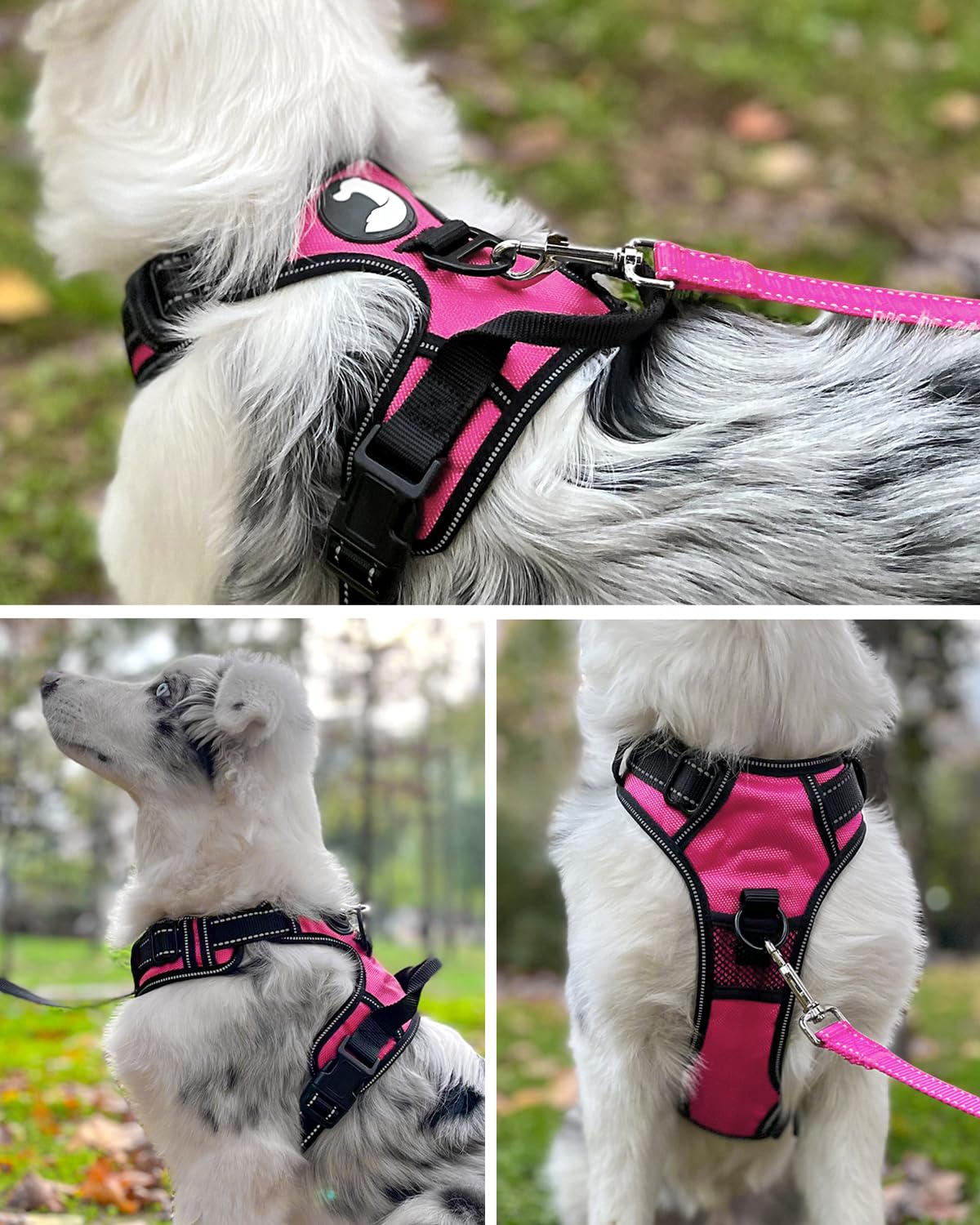 Joytale Dog Harness Medium No Pull Harness for Dogs with 2 Leash Clips - Image 4