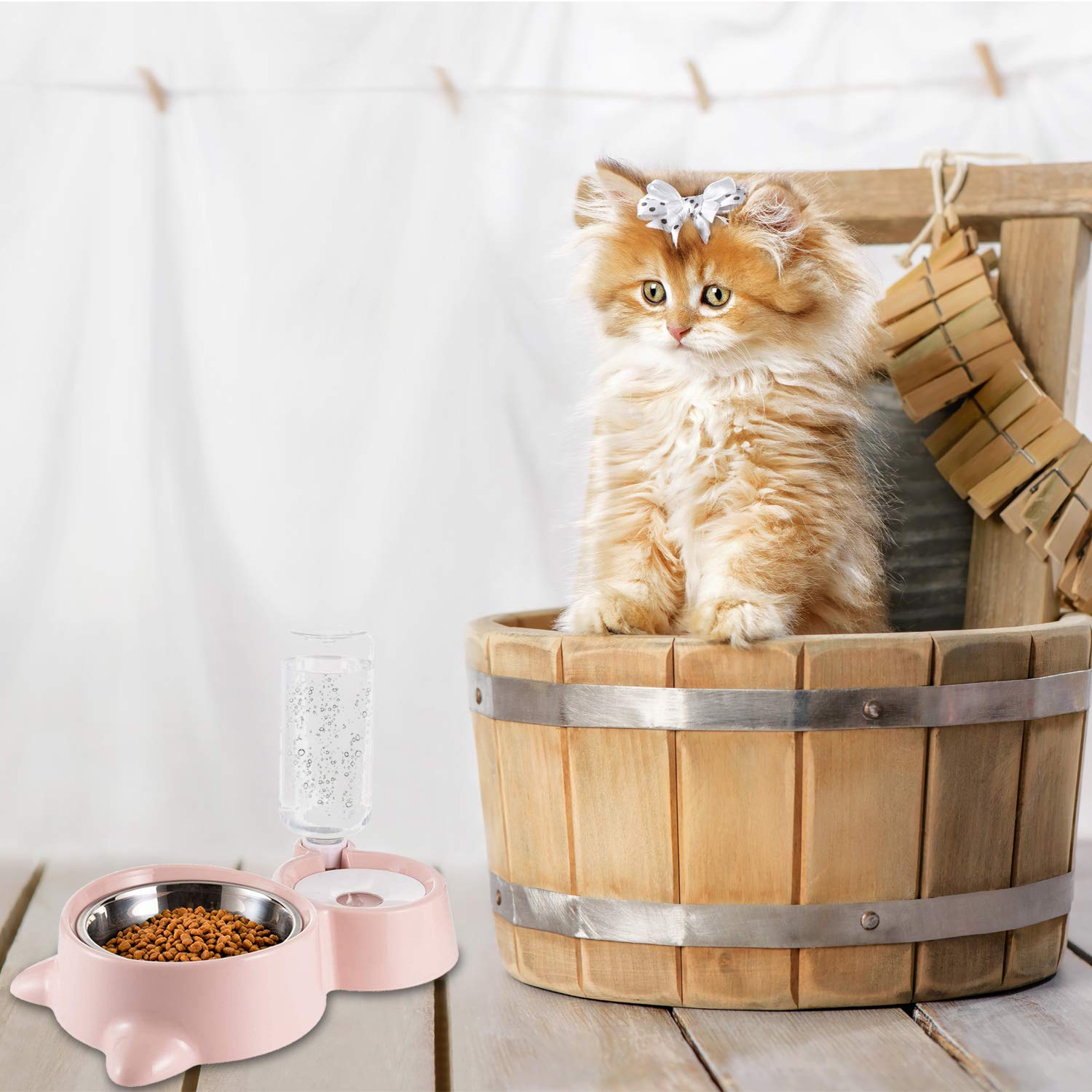 Doppelter Futternapf Mit Trinkflasche – Erhöht, Für Hunde & Katzen, Edelstahlschalen Abnehmbar