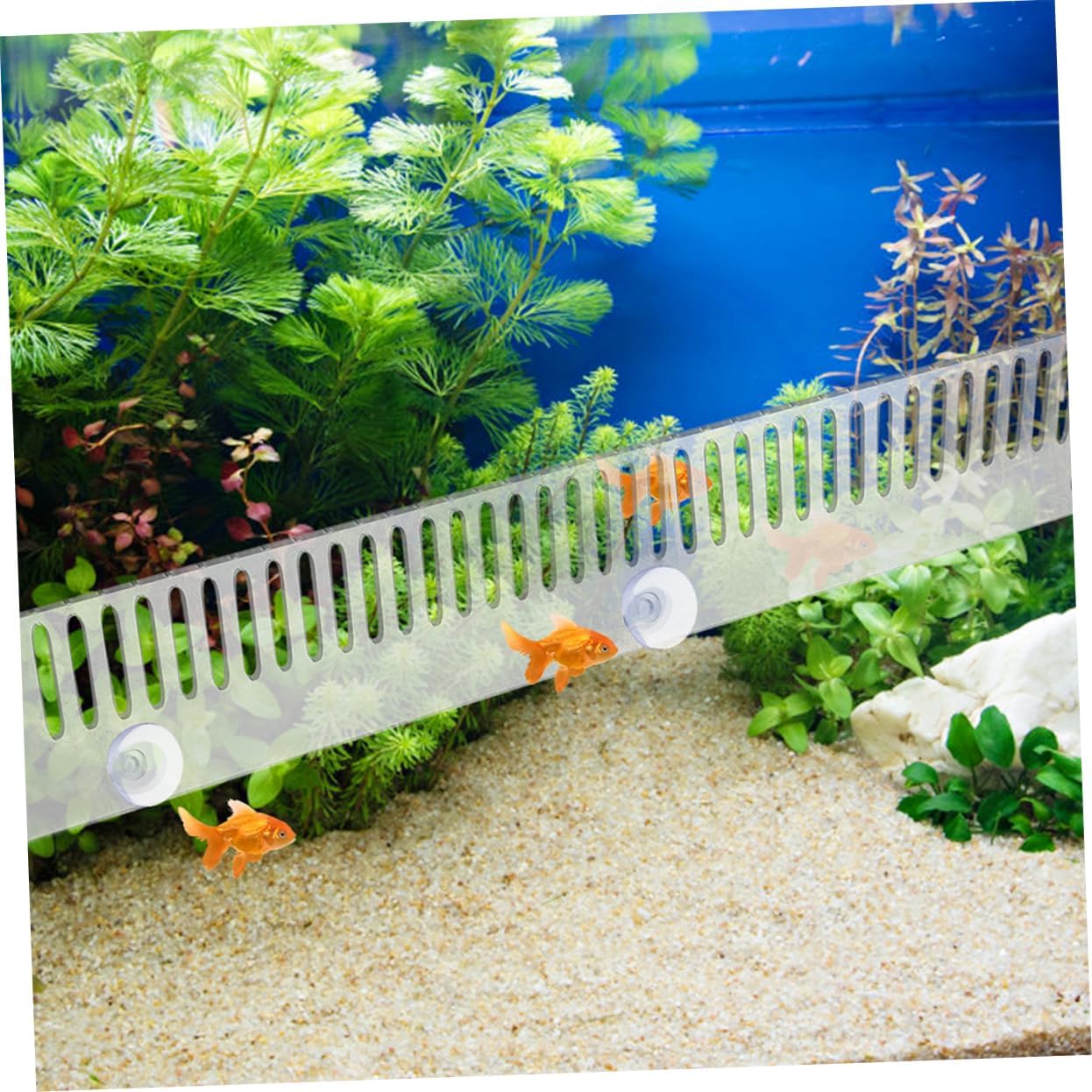 2pcs Aquarium Overflow Comb Divider Cups Fish Comb for Fish Separation Tanks Multifunctional Drip Plate and Overflow Barrier