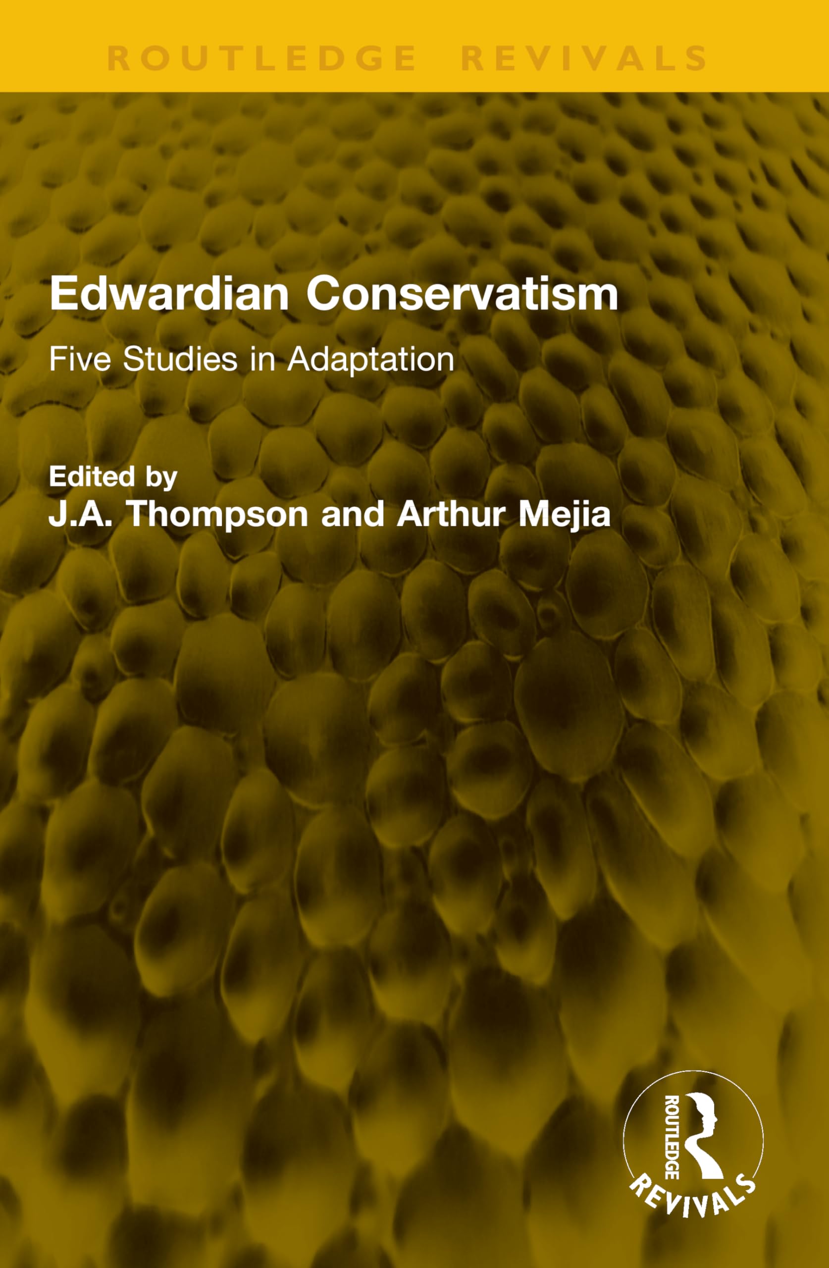 Edwardian Conservatism: Five Studies in Adaptation (Routledge Revivals)