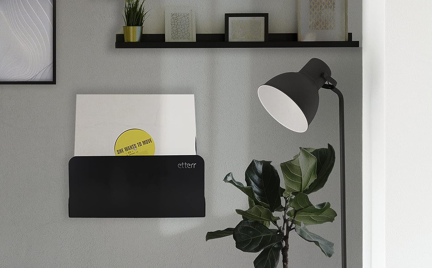 Doppelpack Vinyl Halter | für 50 Vinyls | 100% Stahl | Schallplatten Wandhalterung | Schallplattenständer | Schallplatten Regal | Schallplattenregal | Vinyl Regal