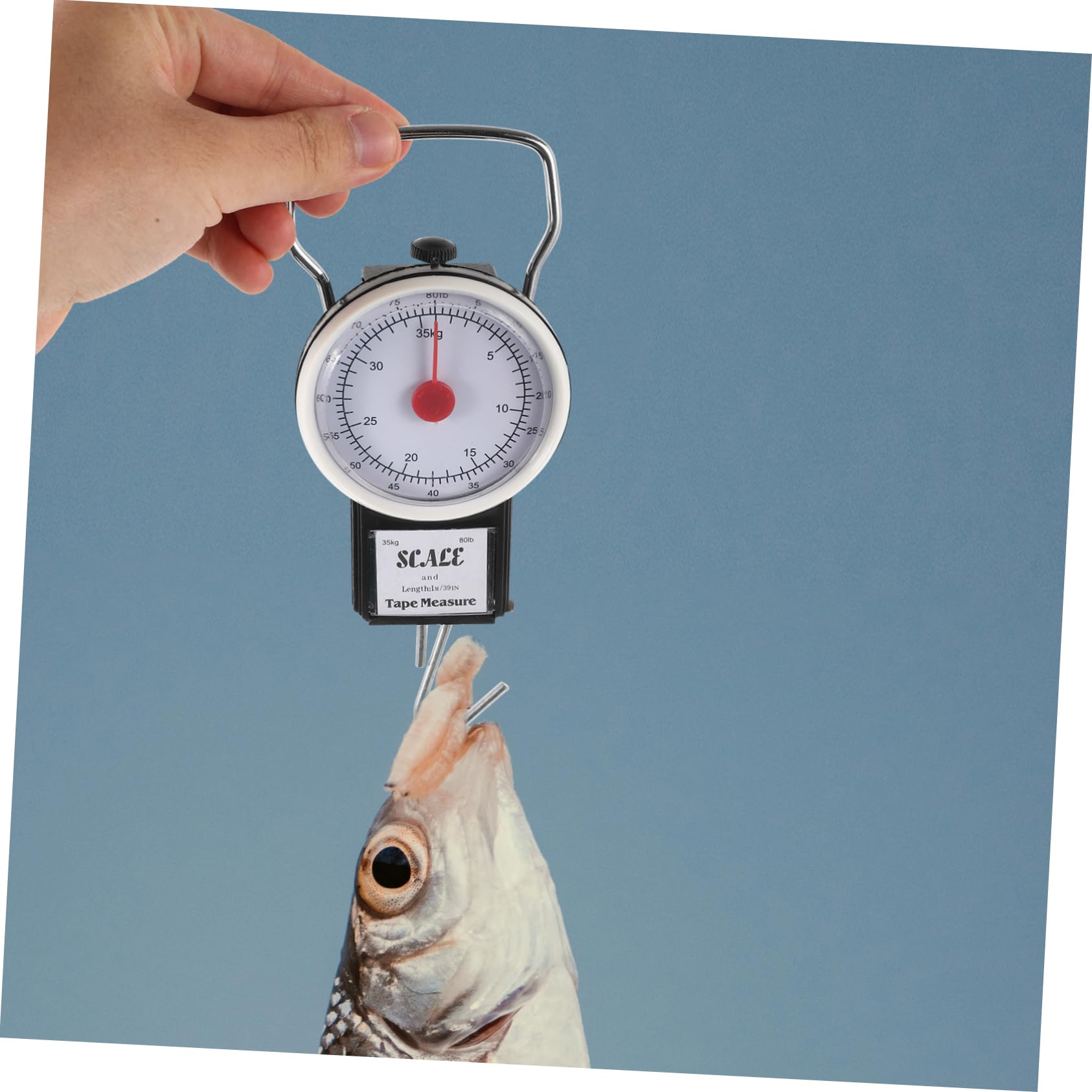 5 Piezas Báscula de Equipaje Manual Portátil Báscula Colgante Precisa para Pesca de Peso