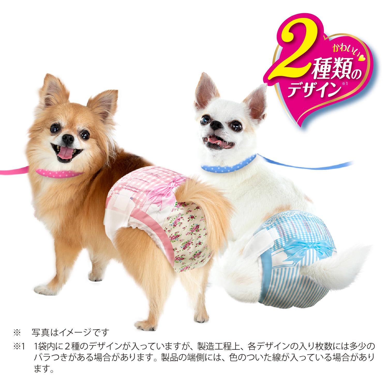 SusanLanciピンクリード リボン付き 犬用品 セレブ犬 小型犬 可愛い