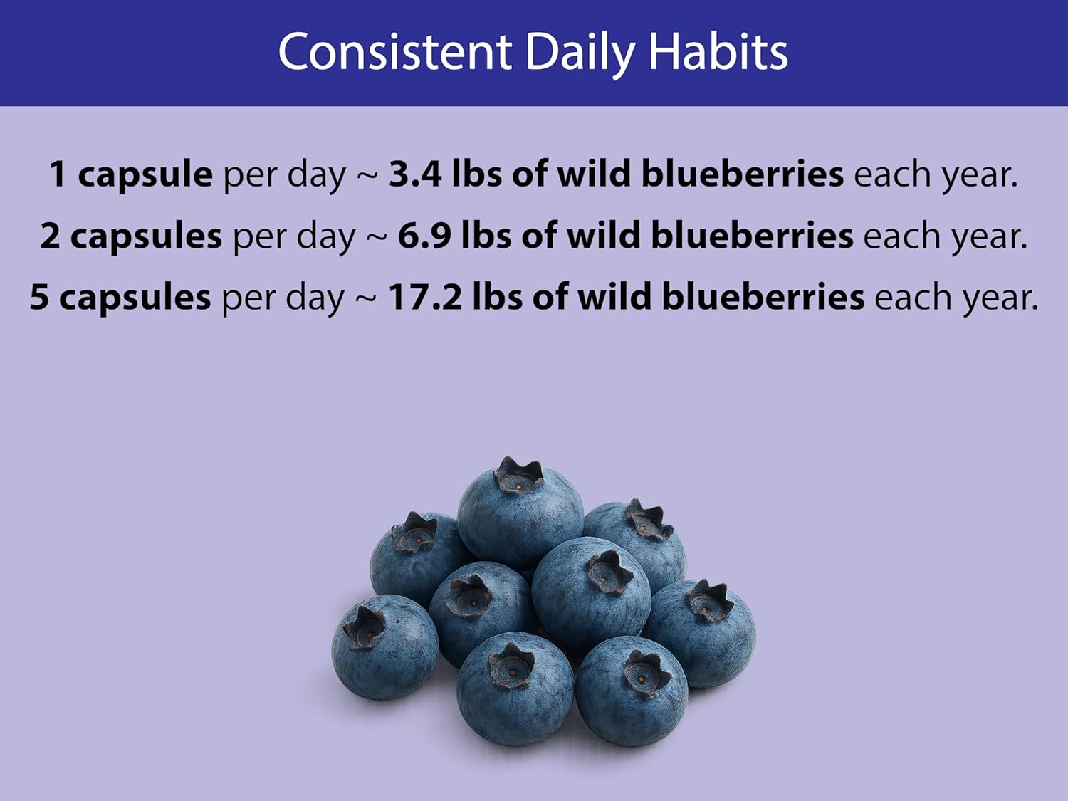 KOYAH - Organic Wild Blueberry Capsules – Freeze-Dried Whole Fruit – 600 mg (3,960 mg Fresh) – Lowbush Variety (Vaccinium angustifolium) - Cognitive Function & Antioxidant Support - 60 Capsules - Image 5