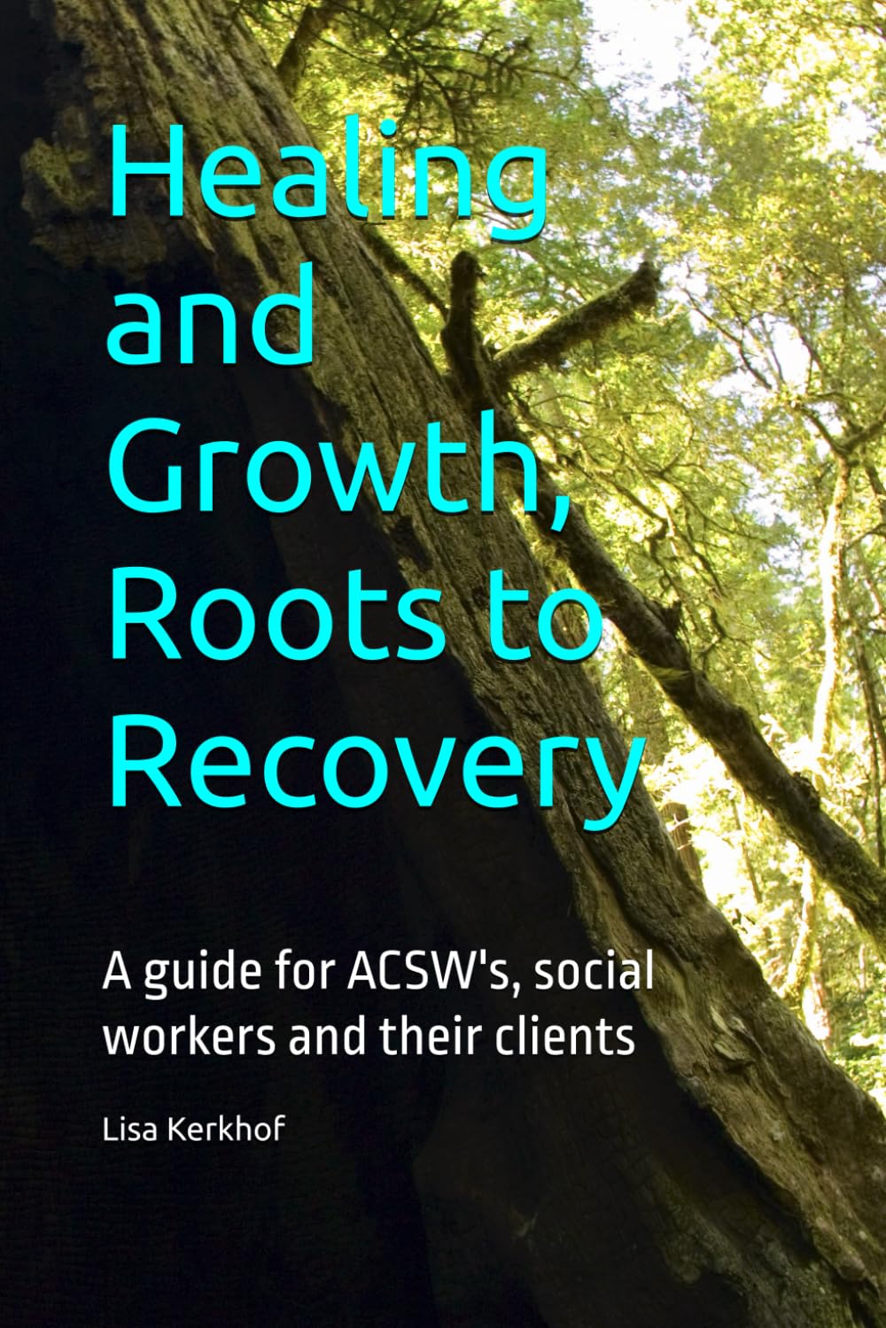 Healing and Growth, Roots to Recovery: A guide for ACSW's, social workers and their clients