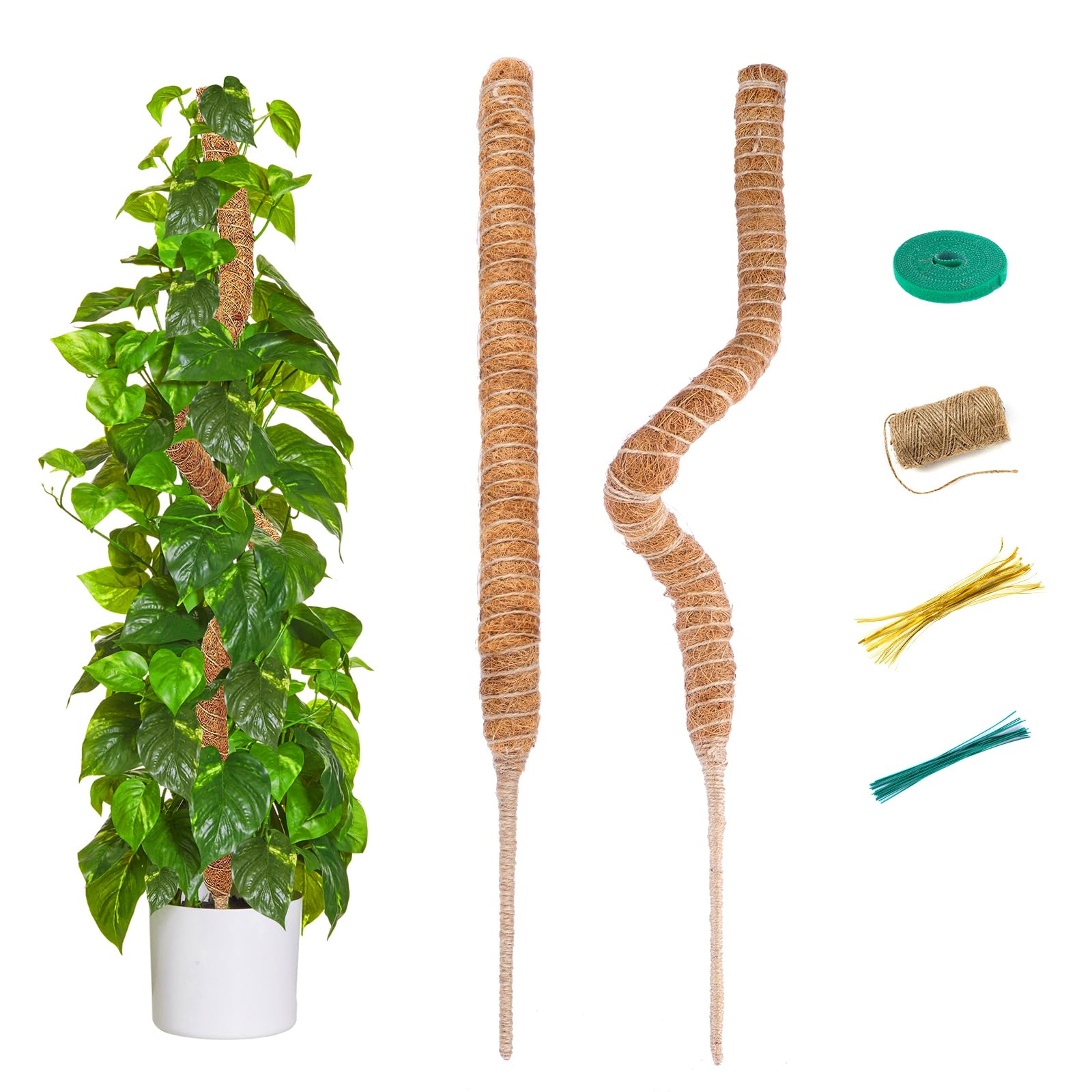 Supporti Per Piante Rampicanti TEGOVE - 4 Bastoni In Muschio Di Cocco Da 70cm Con Accessori | Per Pothos, Monstera E Piante Da Interno - Foto 7