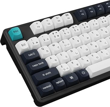 ExclusiveKeychron C3 Pro Custom Gaming Keyboard, Compact Tenkeyless Layout/JIS Layout/RGB Backlight/Wired Connection Mechanical Keyboard/Hot-Swappable/Gasket Mount/Double Shot PBT