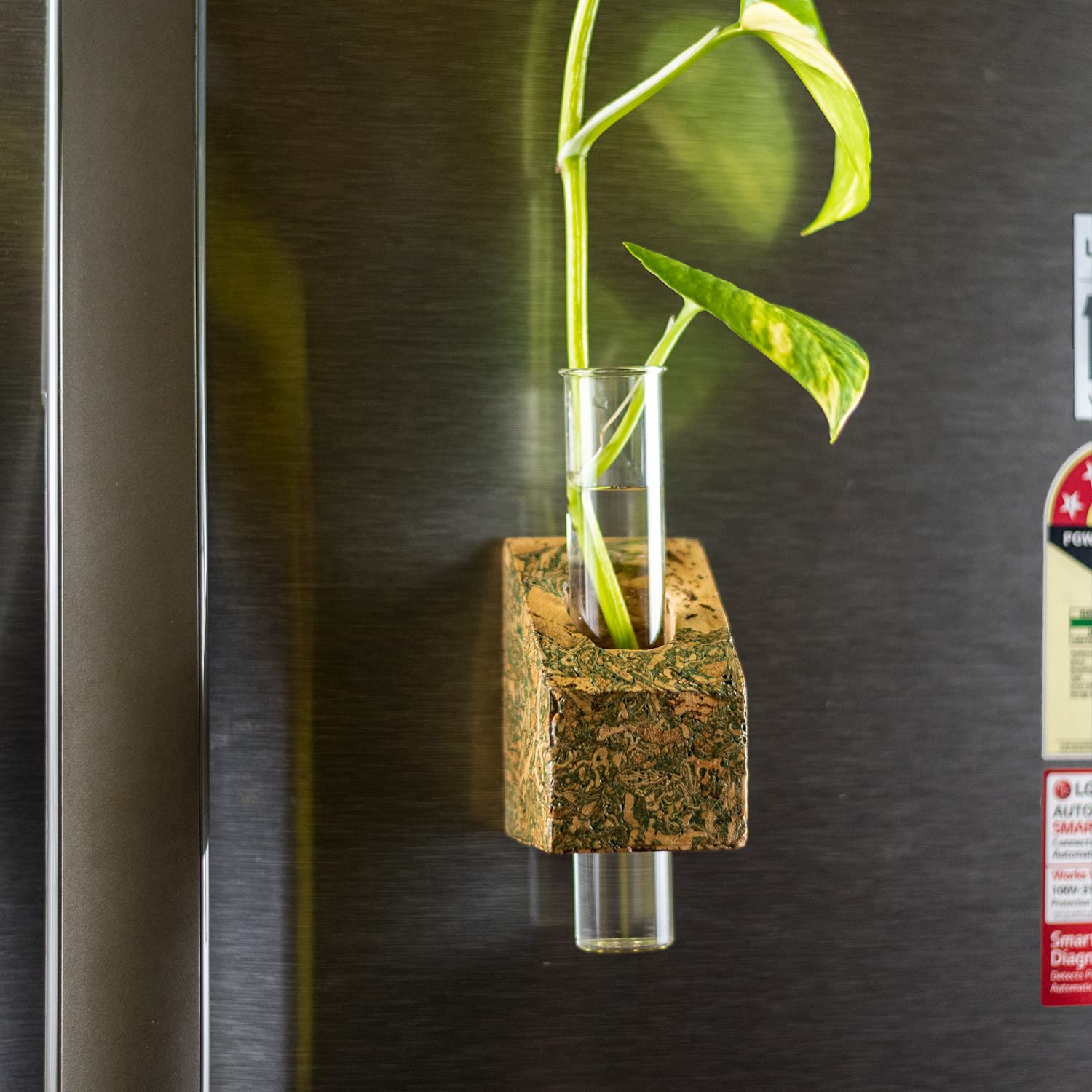 Windup Magnetic Planter for Fridge - Magnet Mount Plant Pot for Hydroponic Plant Propagation (Rectangular, Green, Set of 1) (B0B8XN2CYS) Amazon Price History, Amazon Price Tracker