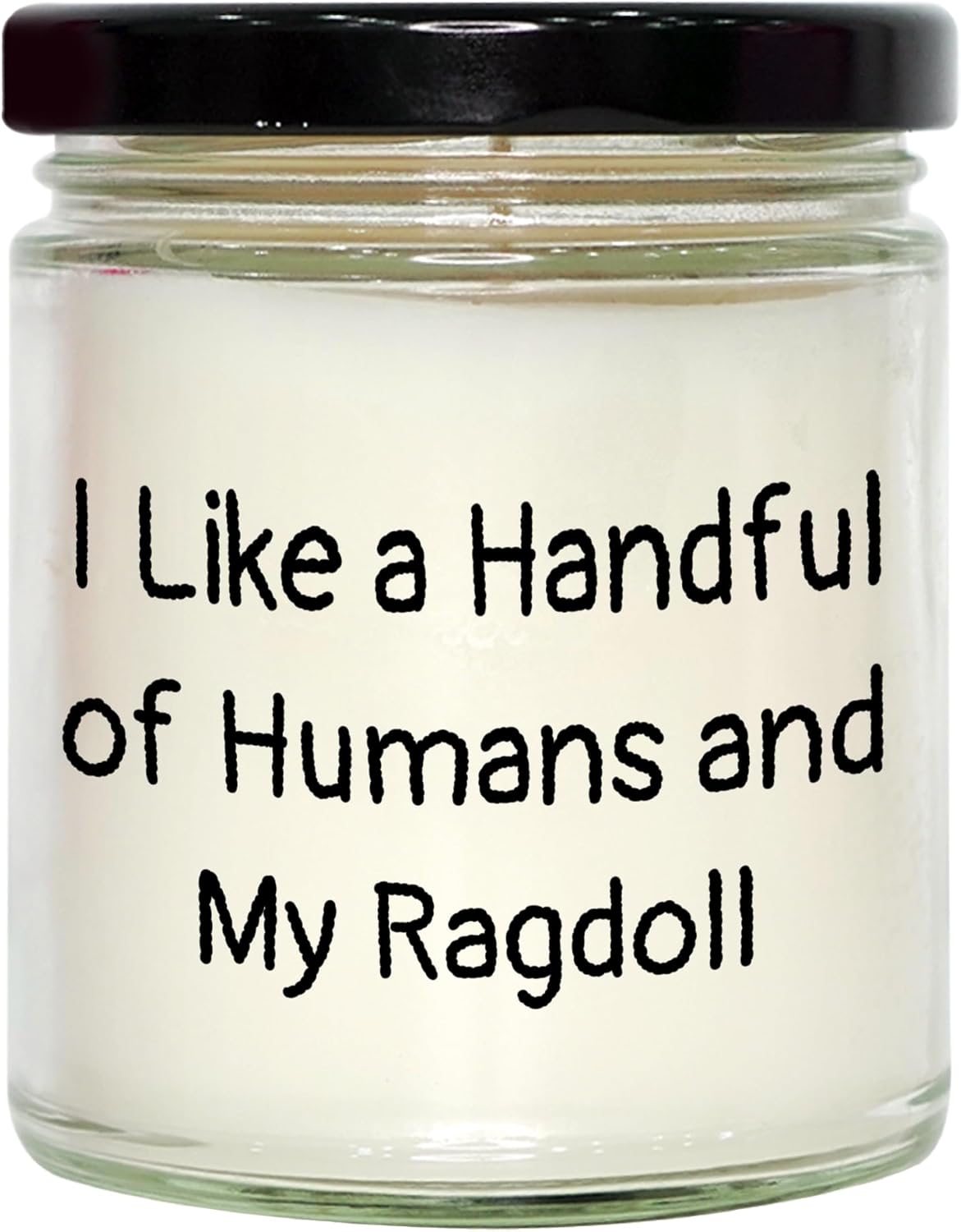 Ragdoll Cat Lovers' Gift I Like A Handful of Humans and