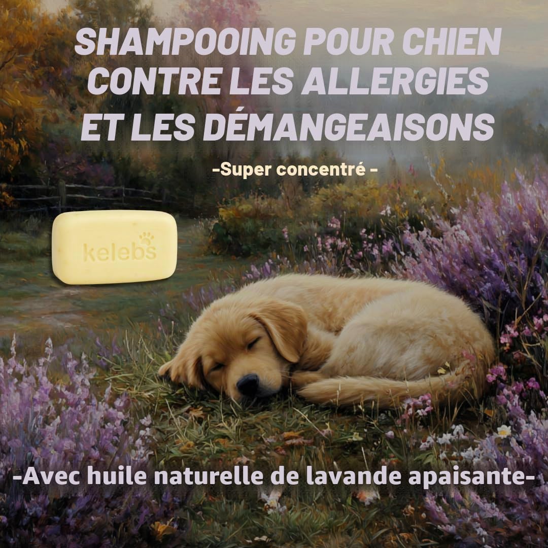 Kelebs Shampoing Chien et Chiot Naturel Anti Démangeaisons Anti Puces Anti Stress a la Lavande Huiles Essentielles Aux Flocons D'Avoine Bio Peau Sensible Anti Odeurs Biodegradable 3 Pieces