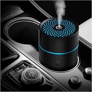 Car Car Air Freshener and Humidifier