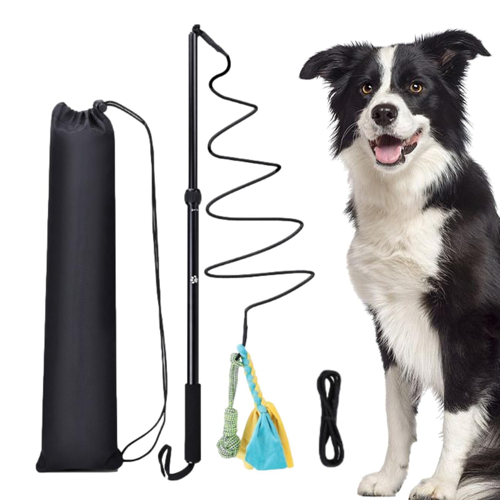 Amazon.co.jp: 犬じゃらしツール | 伸縮子猫のおもちゃからかい猫の杖