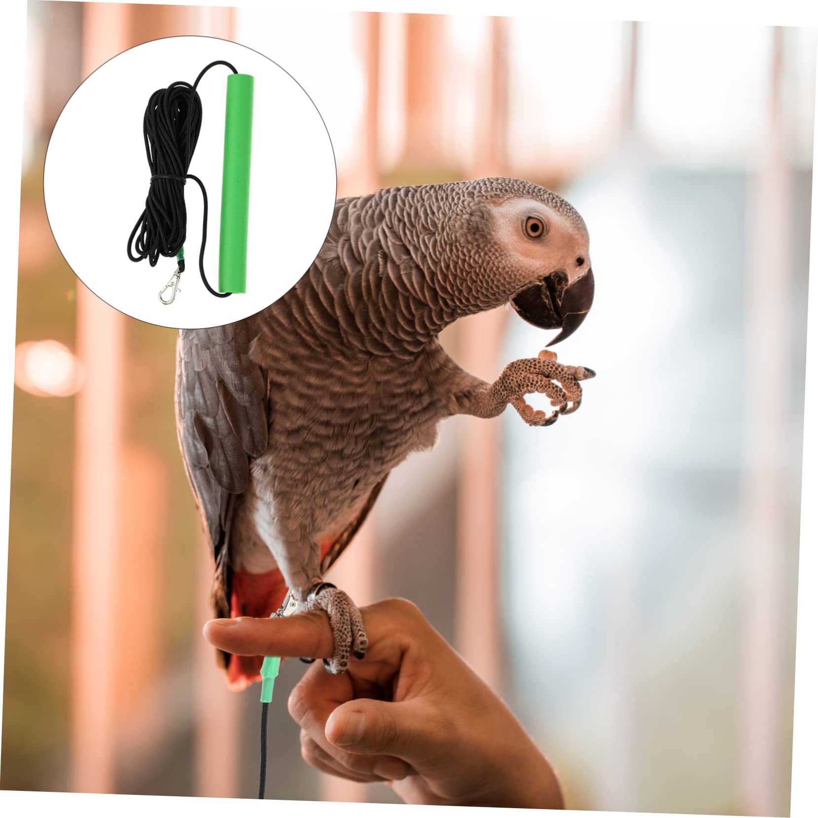 2 Piezas Cuerda de pájaro Correa de arnés para Mascotas arnés de Vuelo de Aves Suspender arneses para pájaros arnés de pájaro Mascota Loro cinturón Suministros para Aves hámster