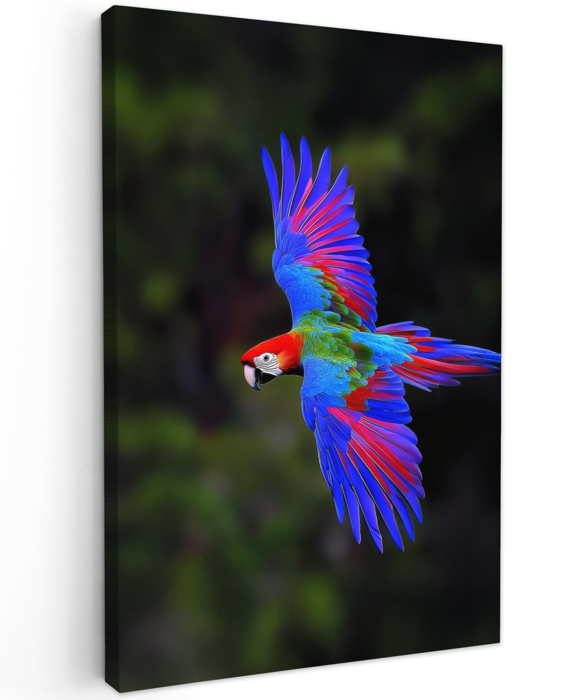 MuchoWow© Canvas Wall Art 24"x35" / 60x90 cm Decor Prints for Living Room Decorative Canvases Hall Artwork Bright - Parrot - Forest - Wings