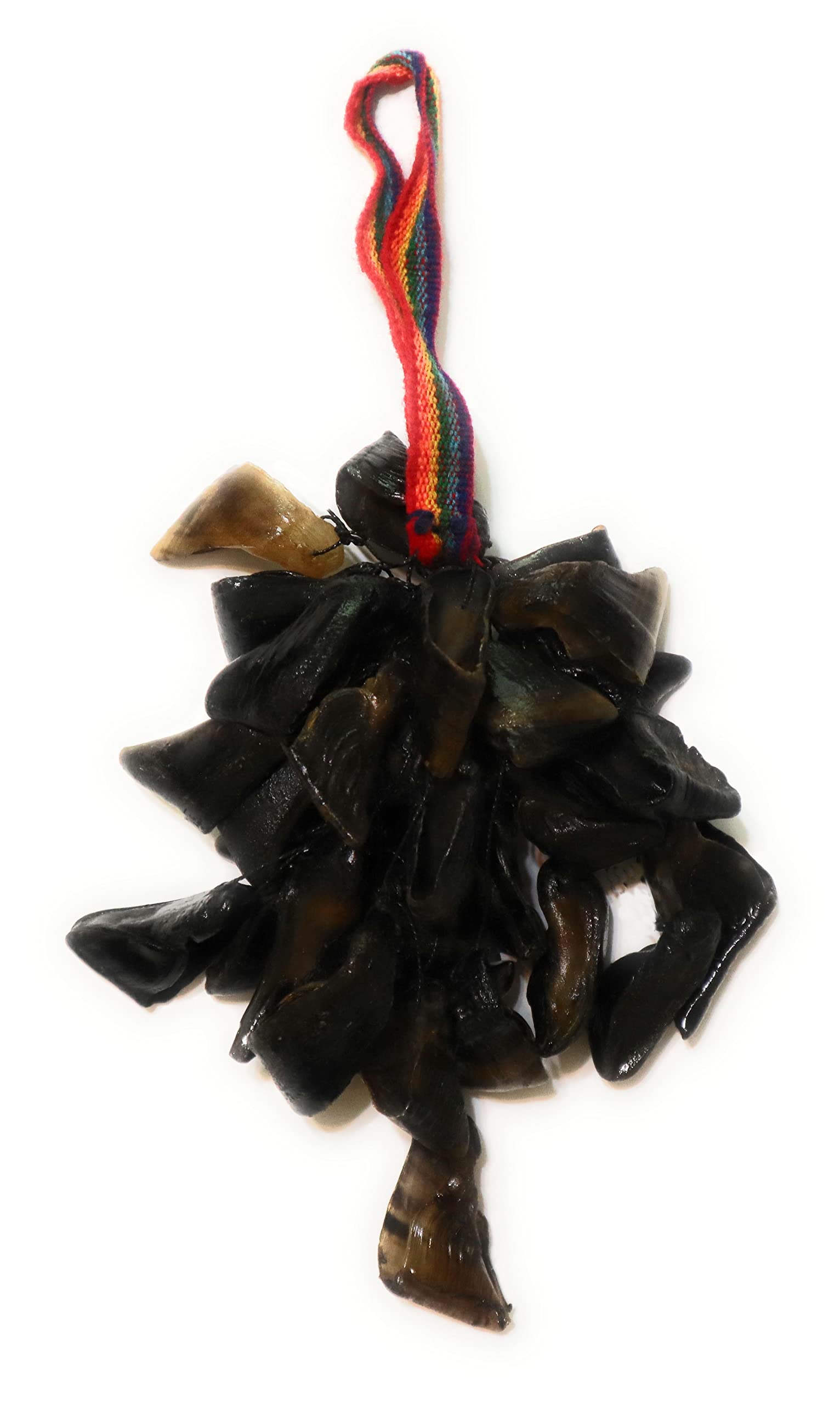 Andean Percussion Musical Folk Instrument Shaker or Chajcha. Ritual instrument from the Incas times. 13