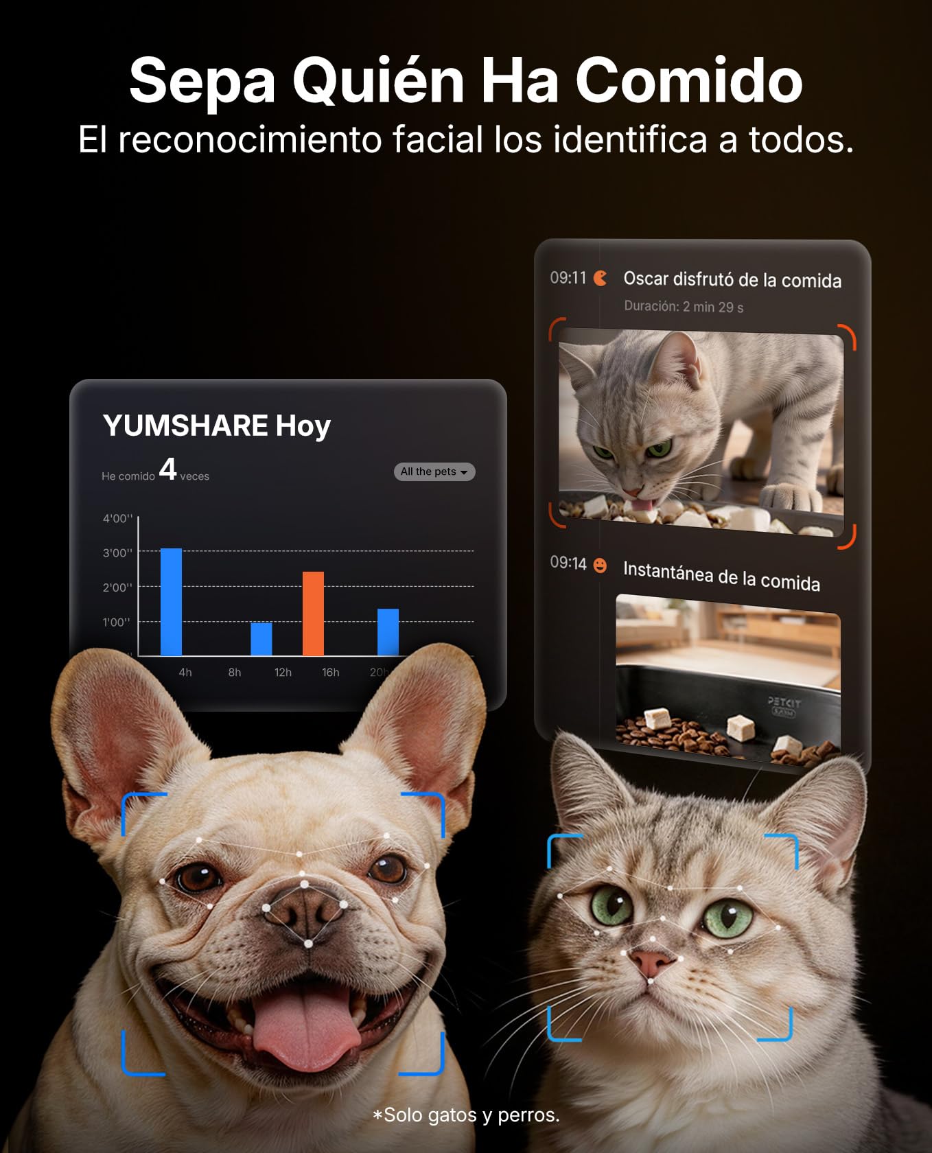 PETKIT Nuevo Comedero Gato Automatico con Cámara, Reconocimiento de Varios Gatos, 2.4G & 5GHz WiFi, Doble Tolva 5L Dispensador Comida Gatos/Perros, 1080P HD, Función AI, Cuenco de Acero Inoxidable