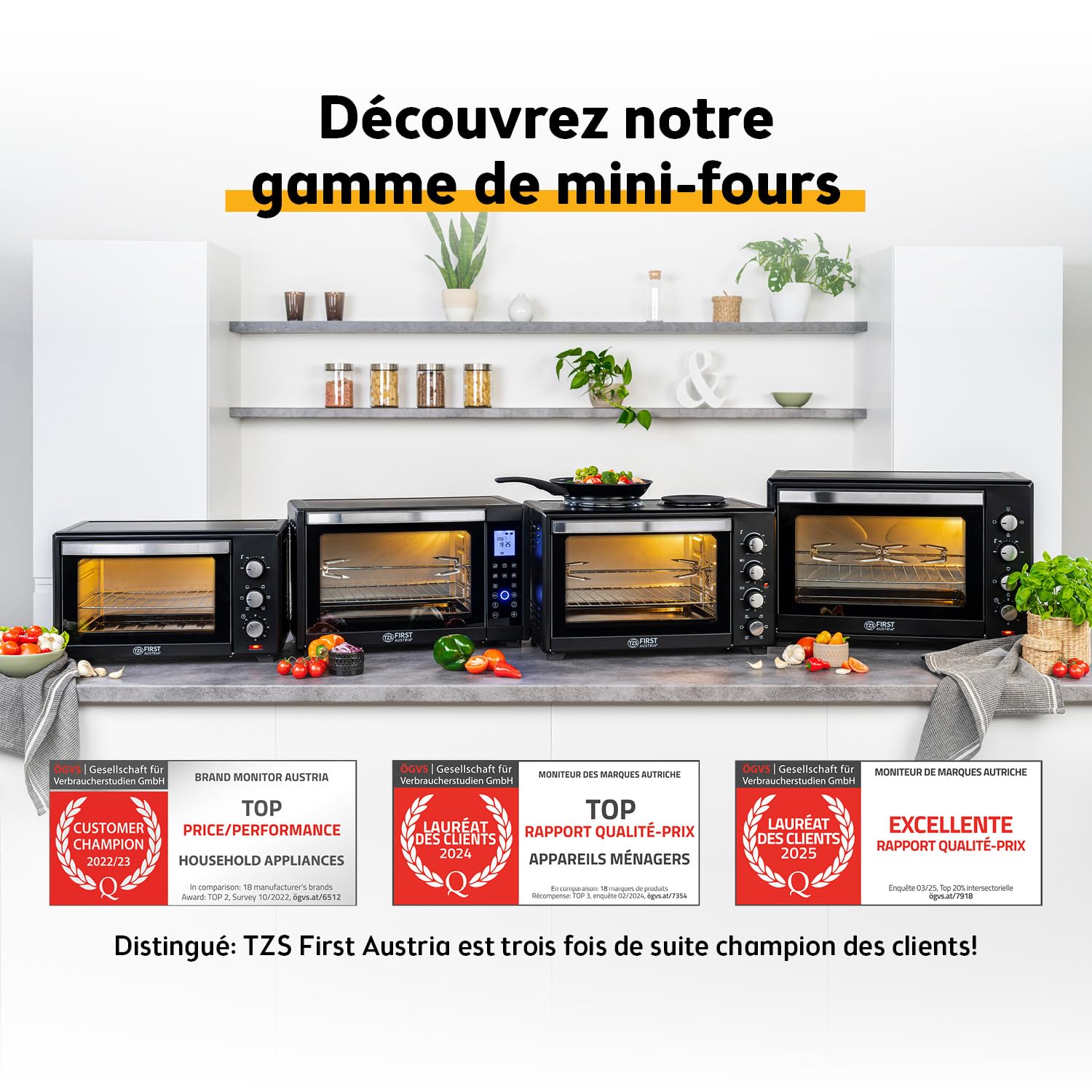 TZS First Austria - Mini-Four avec plaques de cuisson 30L 3200 W - Four à pizza jusqu'à 230°C et 6 modes de chauffage - Four multifonction avec 4 hauteurs d'insertion et accessoires de haute qualité