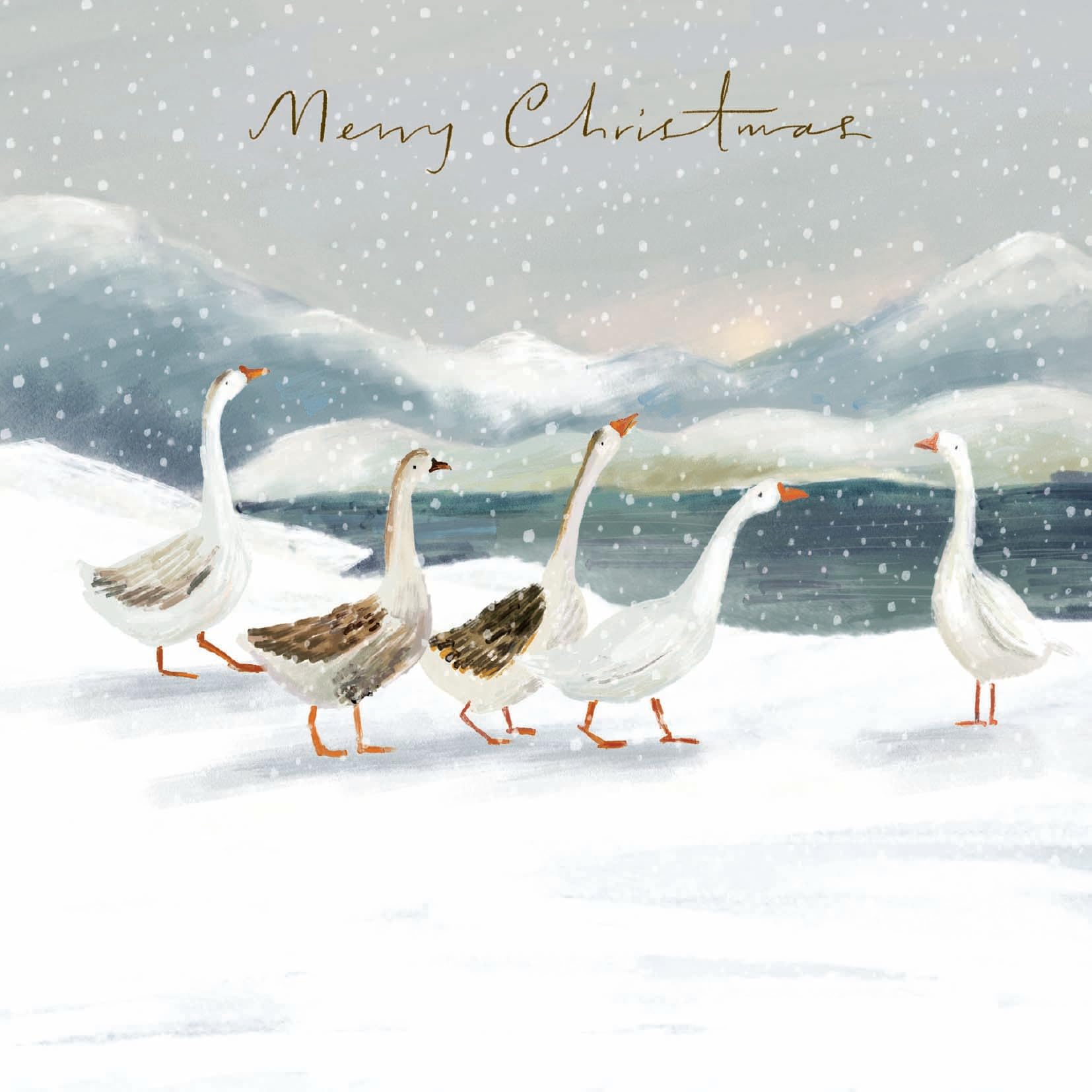 Pack of 10 Festive Charity Christmas & Happy New Year Cards with Envelopes - 14x14cm - Eco-Friendly & Recyclable (Five Geese in a Blizzard)