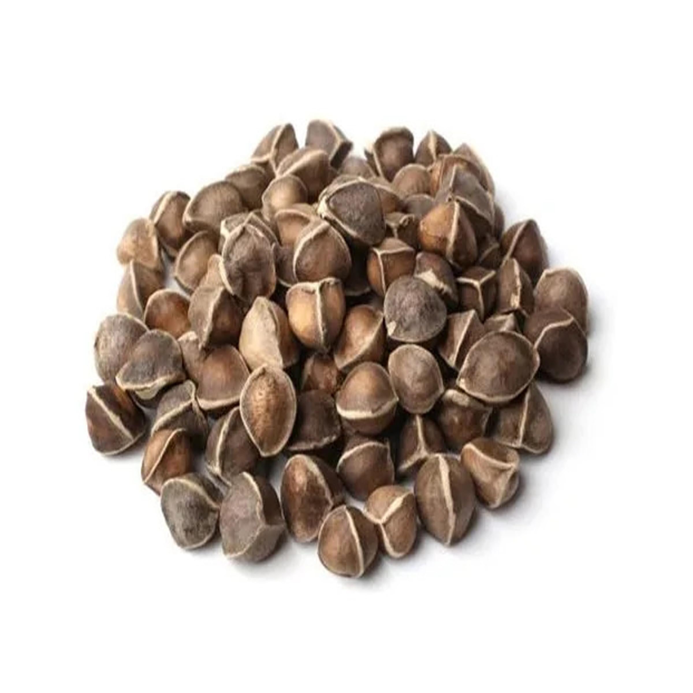 Organic Seeds of Moringa (Sahjan), Nutrient-Rich Superfood, for Planting Miracle Tree at Home, Perfect for Home Gardening & Health. (B0D4VCXN8F) Amazon Price History, Amazon Price Tracker