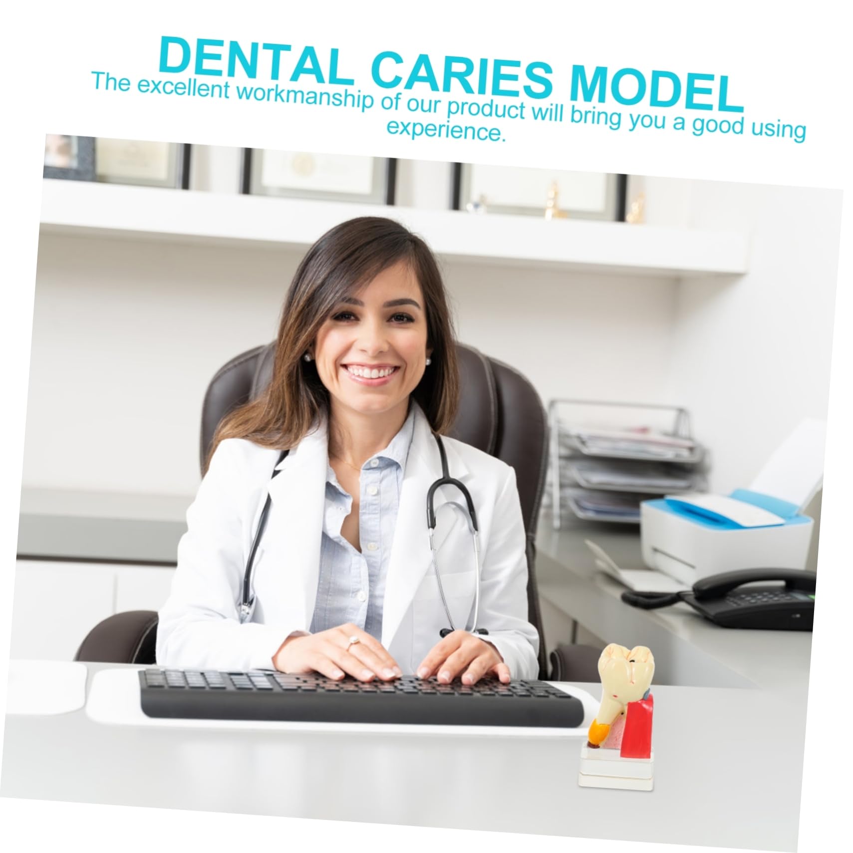 Modello Denti Anatomico Didattico in Resina Beige per Demo | Portatile e Leggero, per Insegnamento Odontoiatrico, Modello Patologico per Studio e Presentazione