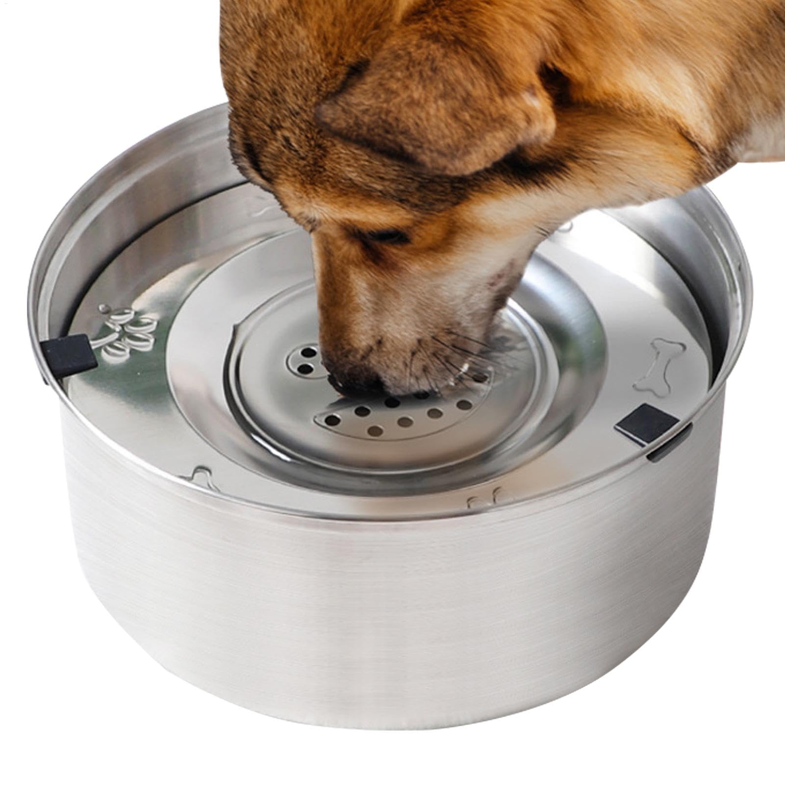 Récipient d'eau anti-goutte en inox pour petit et moyen chien : fini les flaques