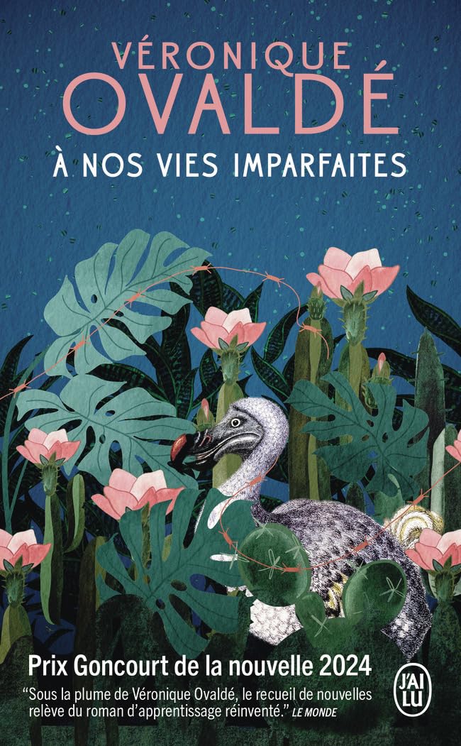 À nos vies imparfaites: Roman
