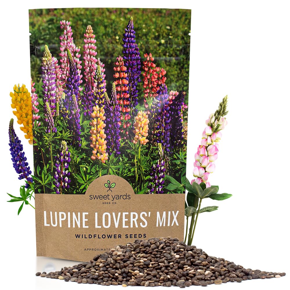 Bulk Lupine Mix Wildflower Seeds SWEET YARDS
